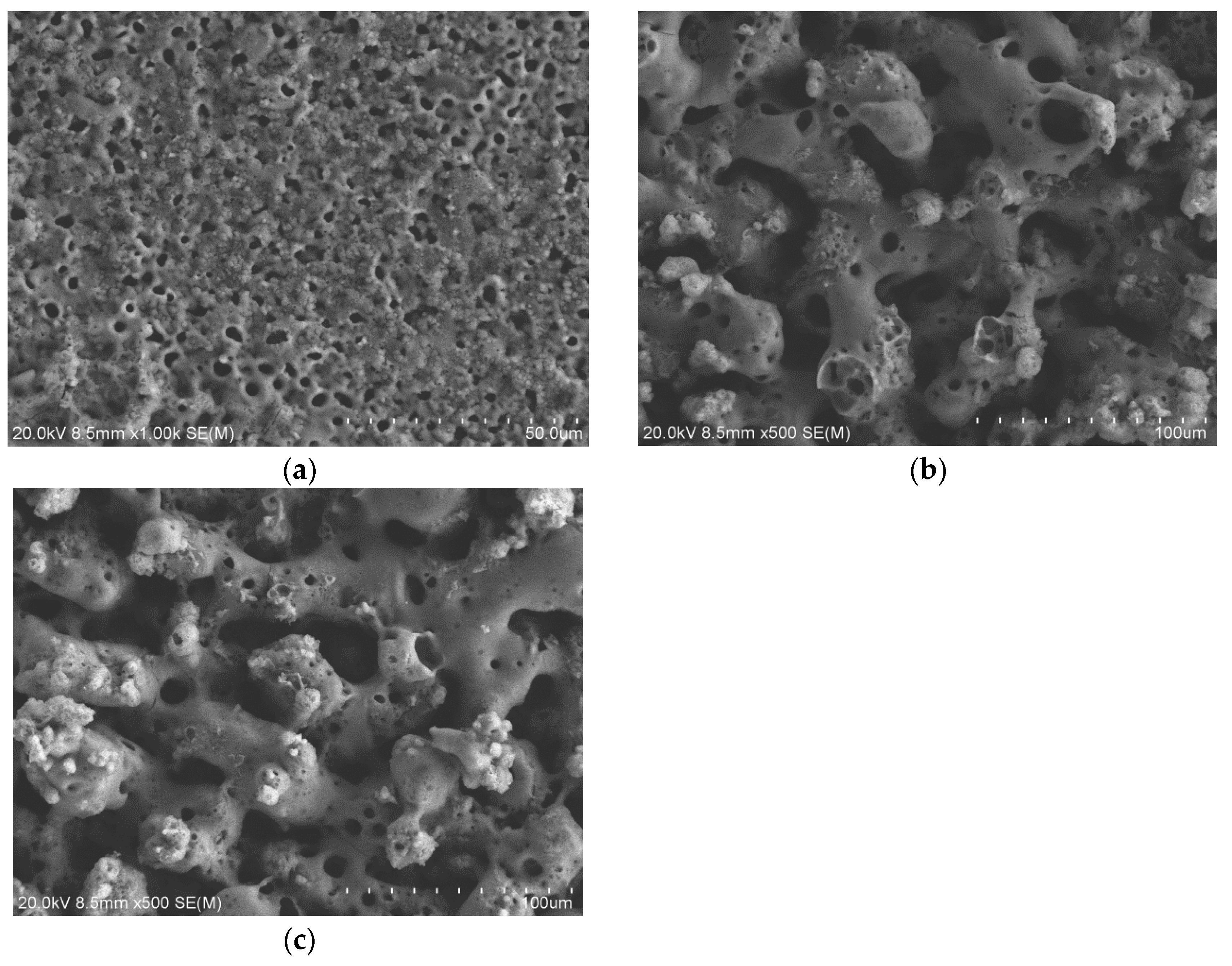 Coatings 14 01408 g002