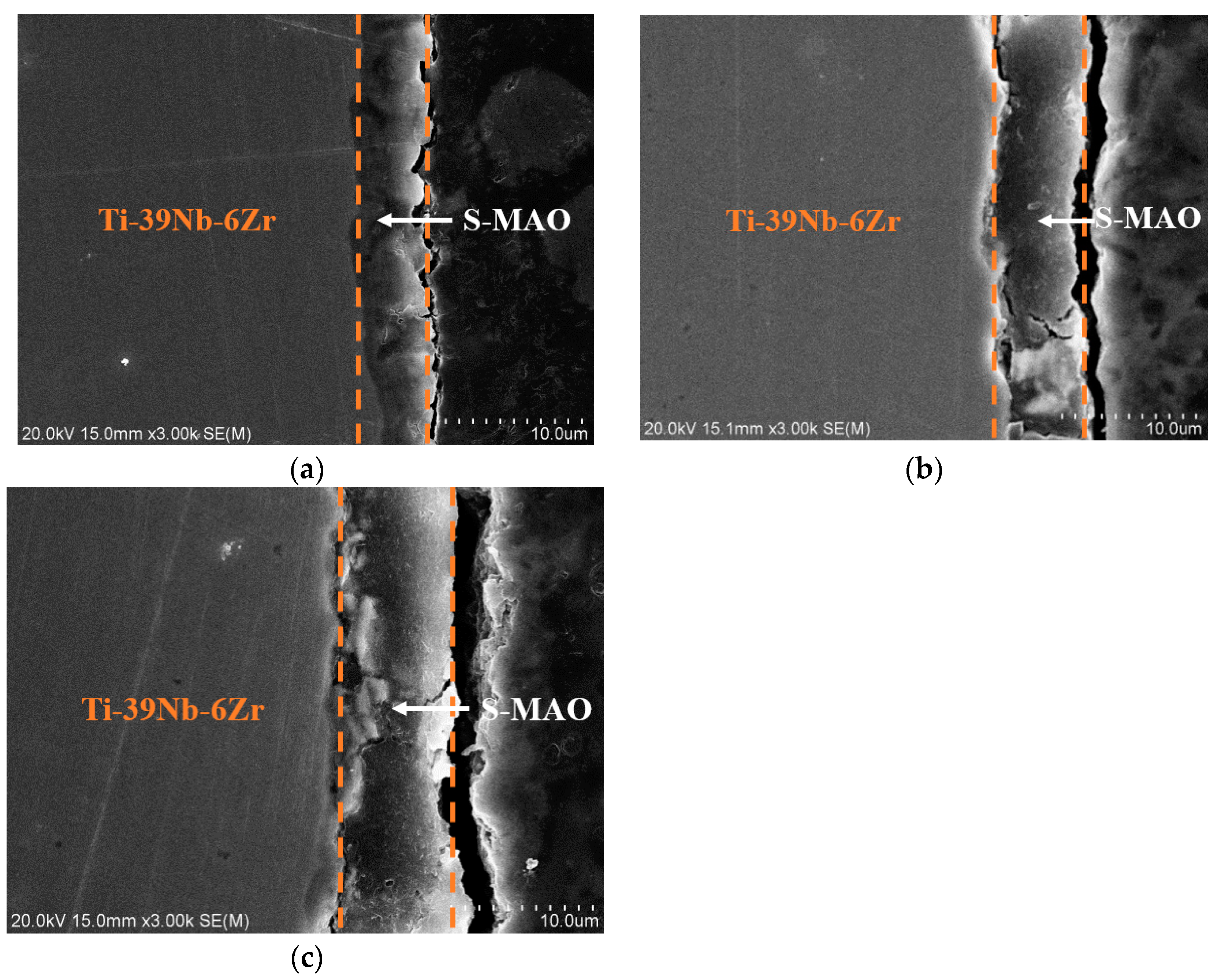 Coatings 14 01408 g005