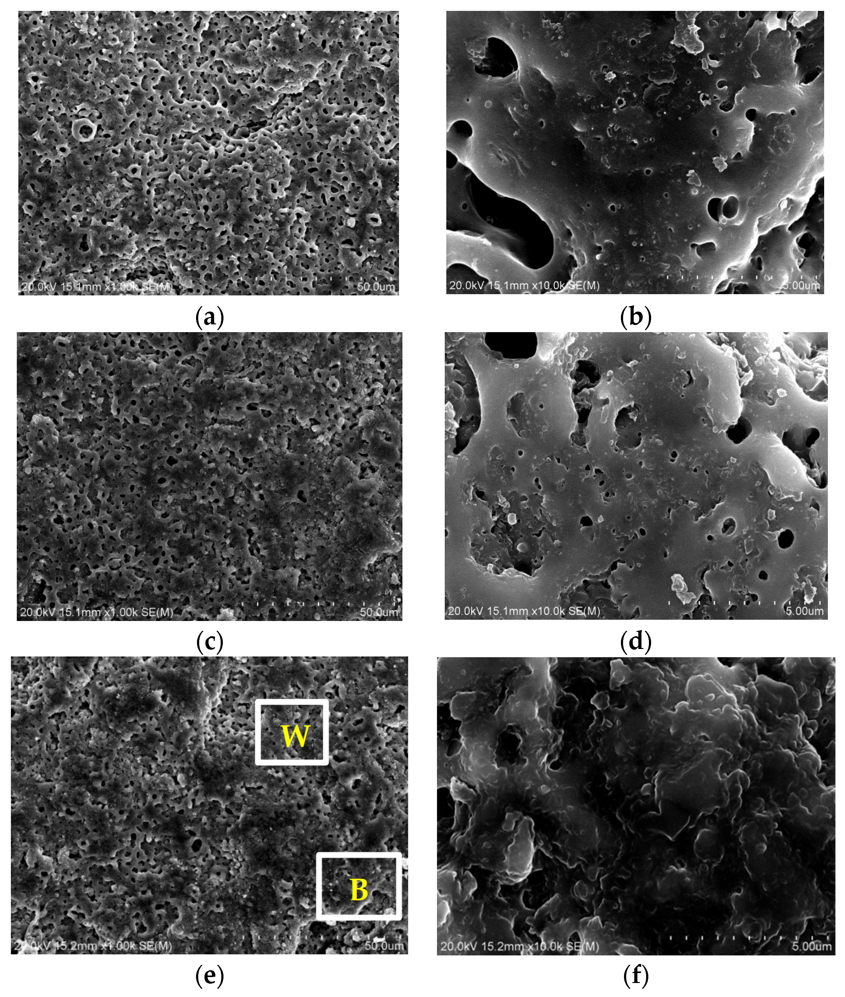 Coatings 14 01408 g007