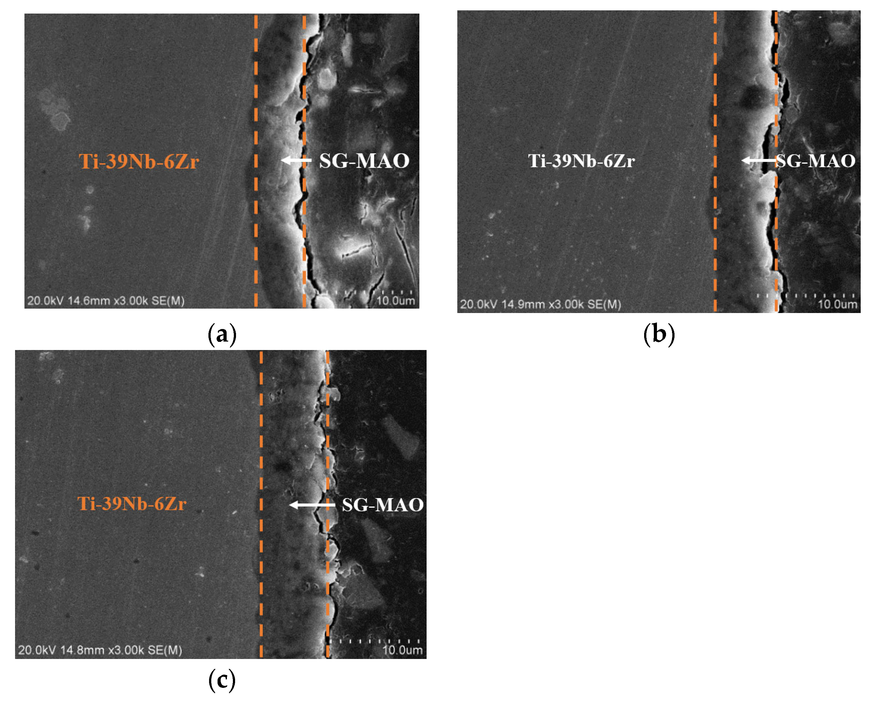 Coatings 14 01408 g010