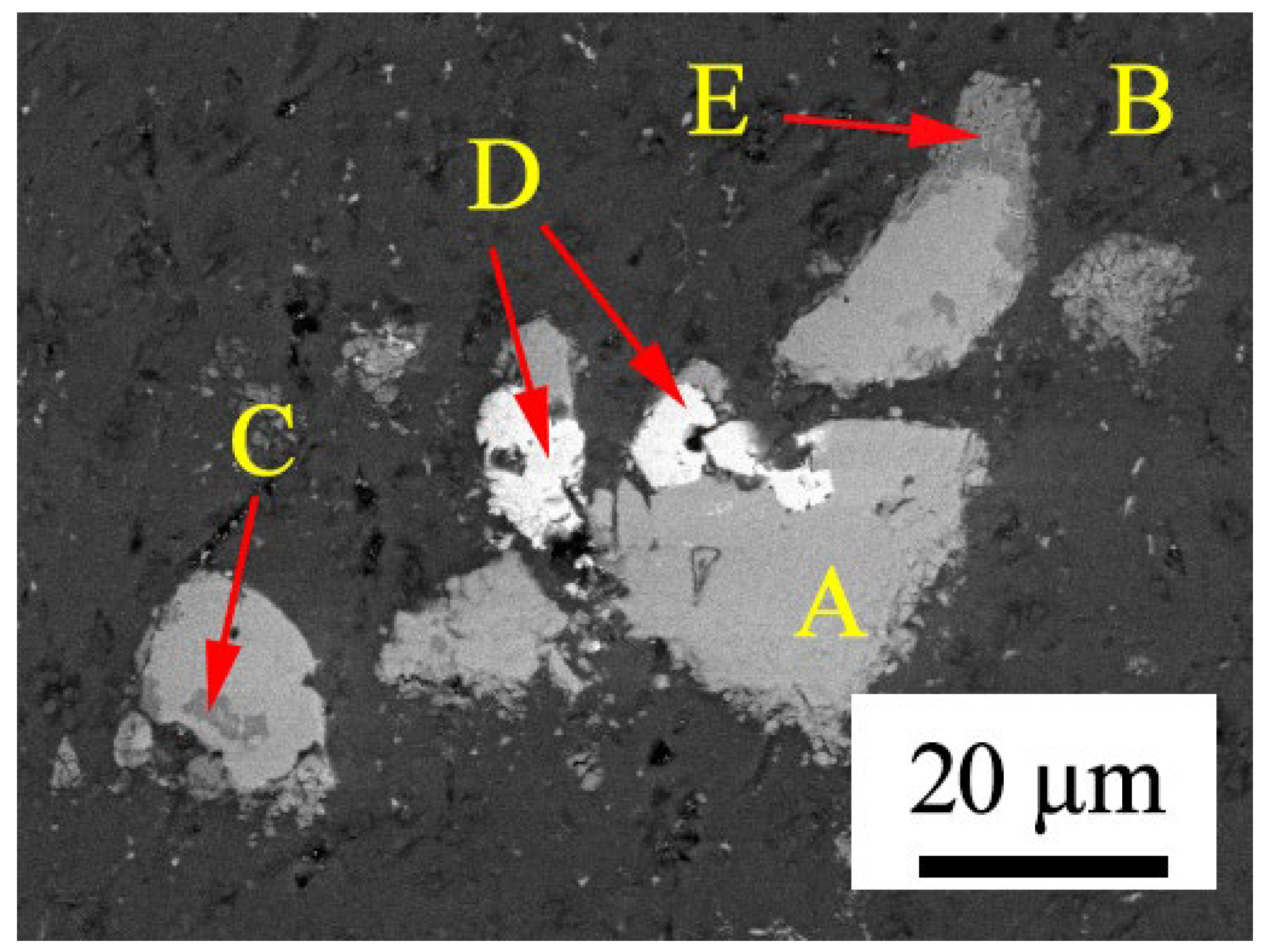 Coatings 14 01411 g015