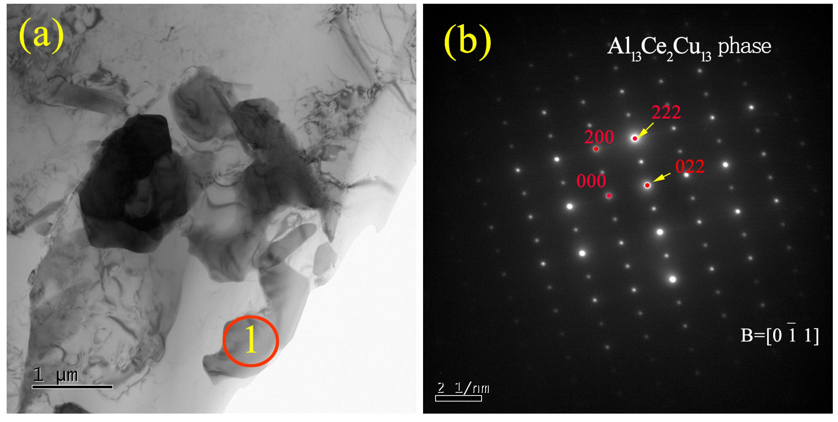 Coatings 14 01411 g021
