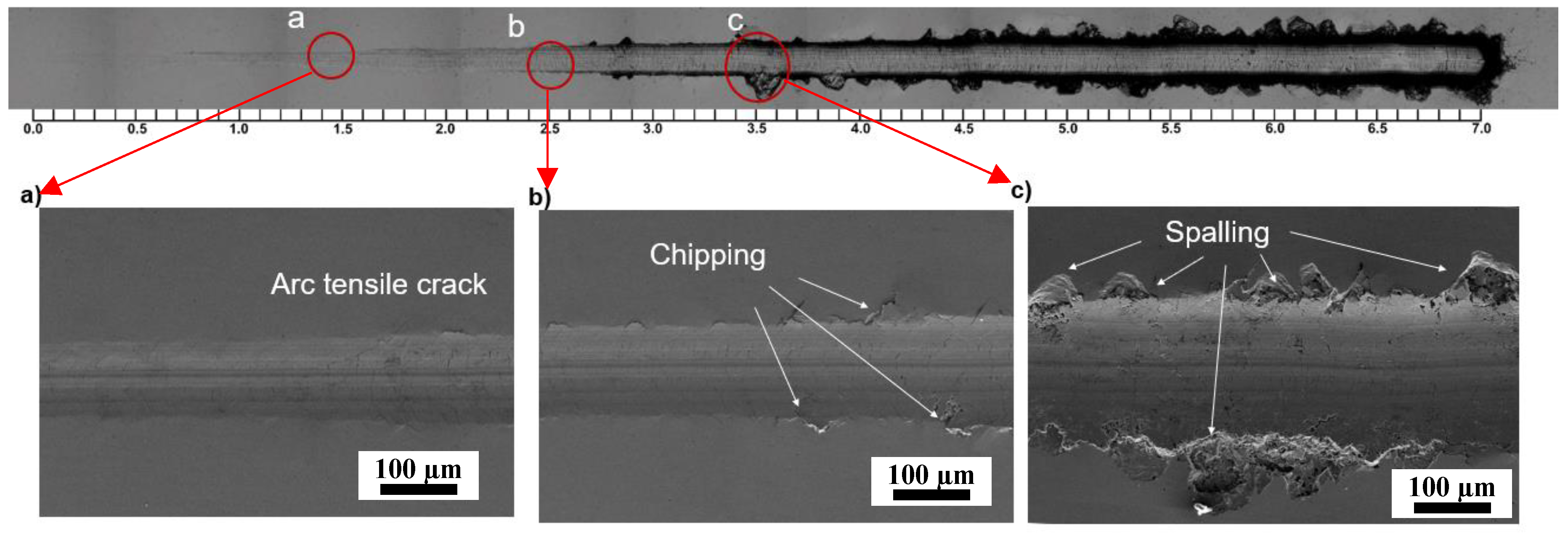 Coatings 14 01414 g011
