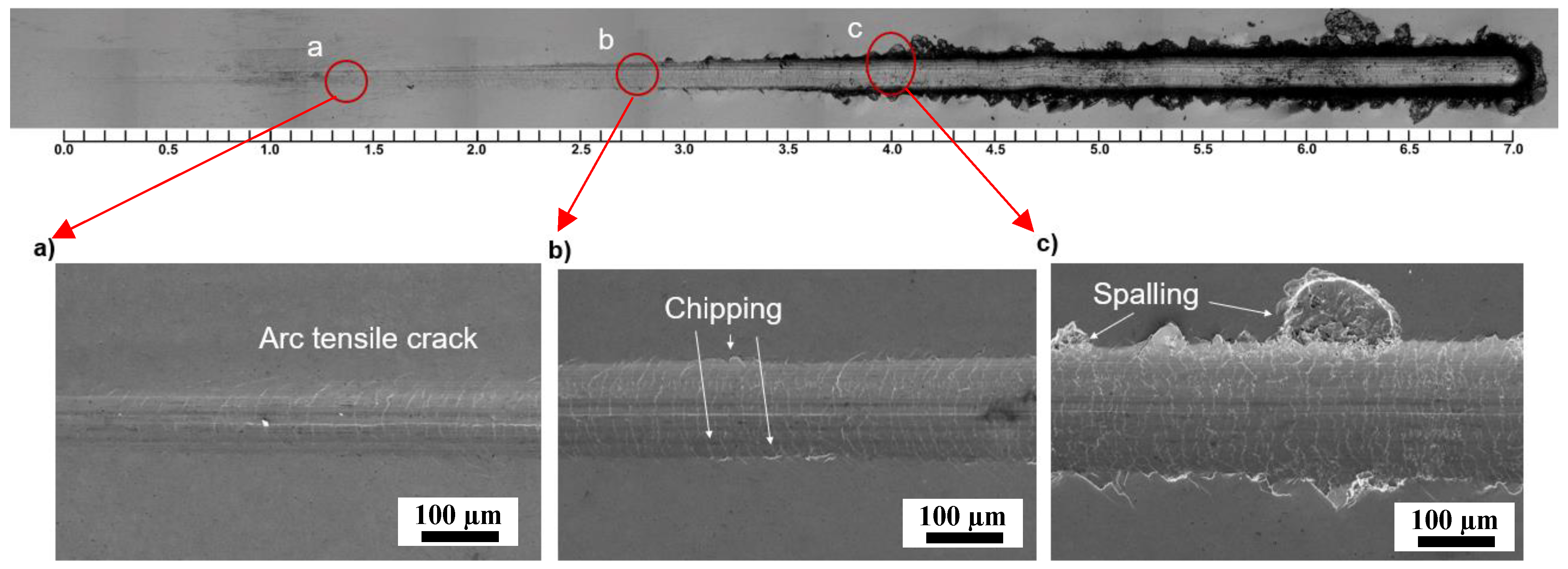 Coatings 14 01414 g012
