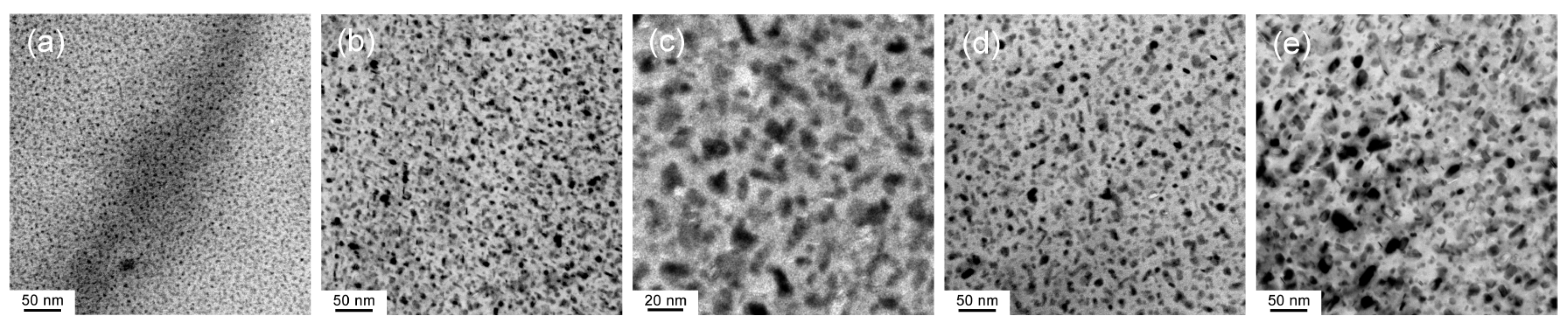 Coatings 14 01415 g001