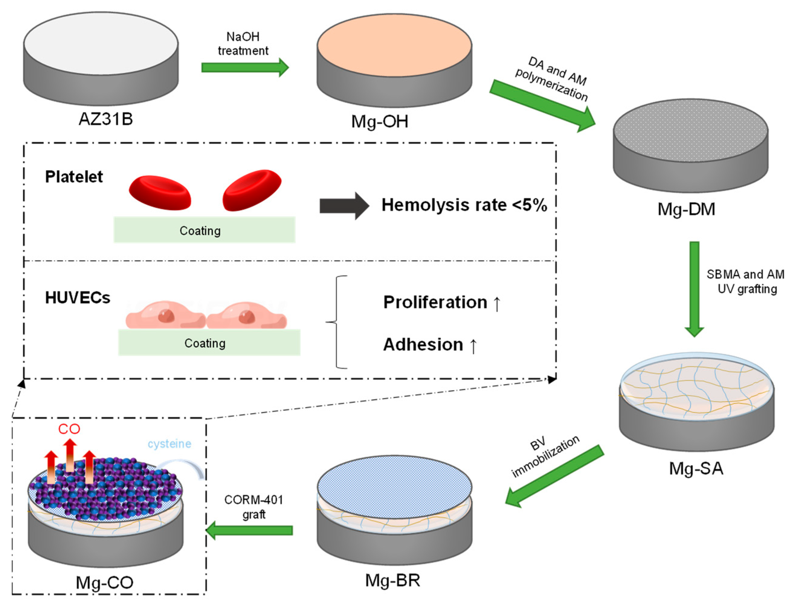 Coatings 14 01418 g001