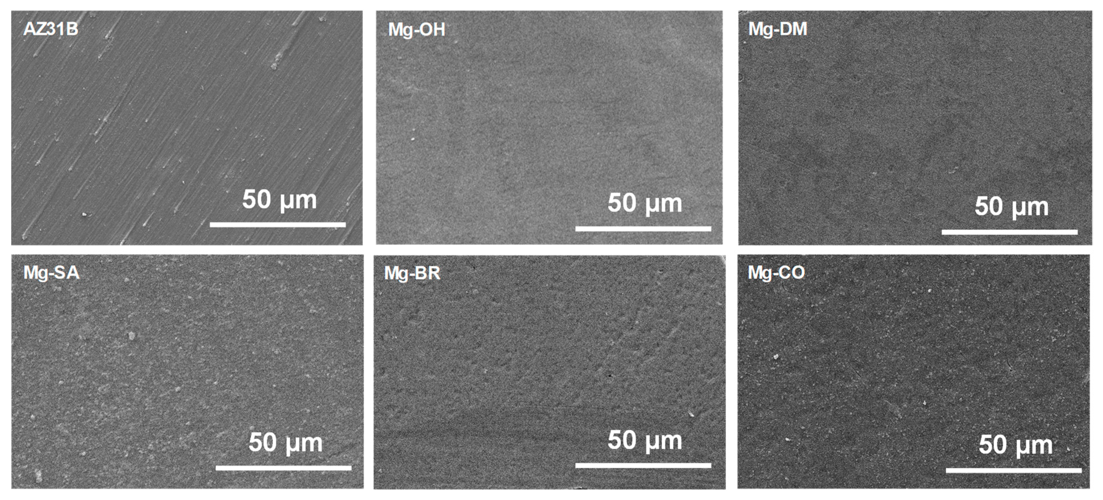 Coatings 14 01418 g003