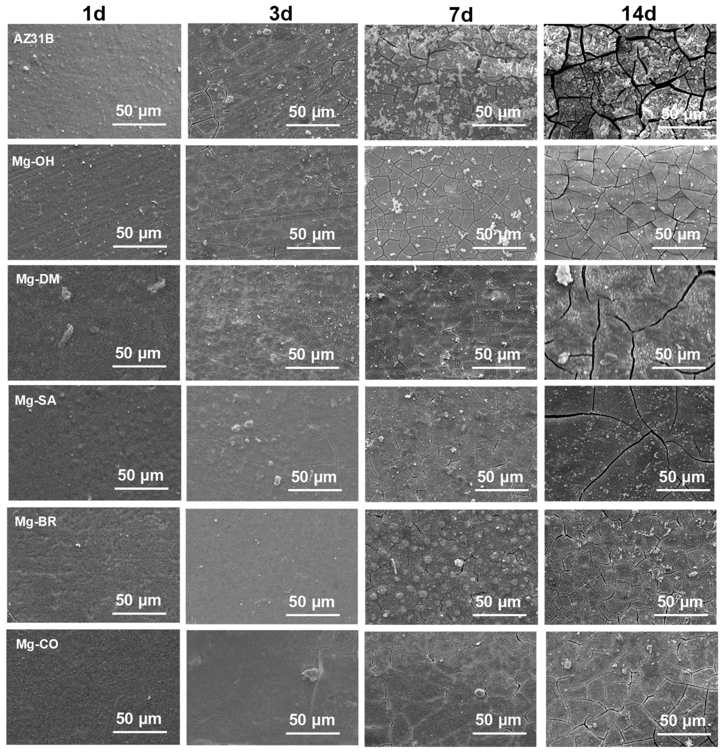 Coatings 14 01418 g005