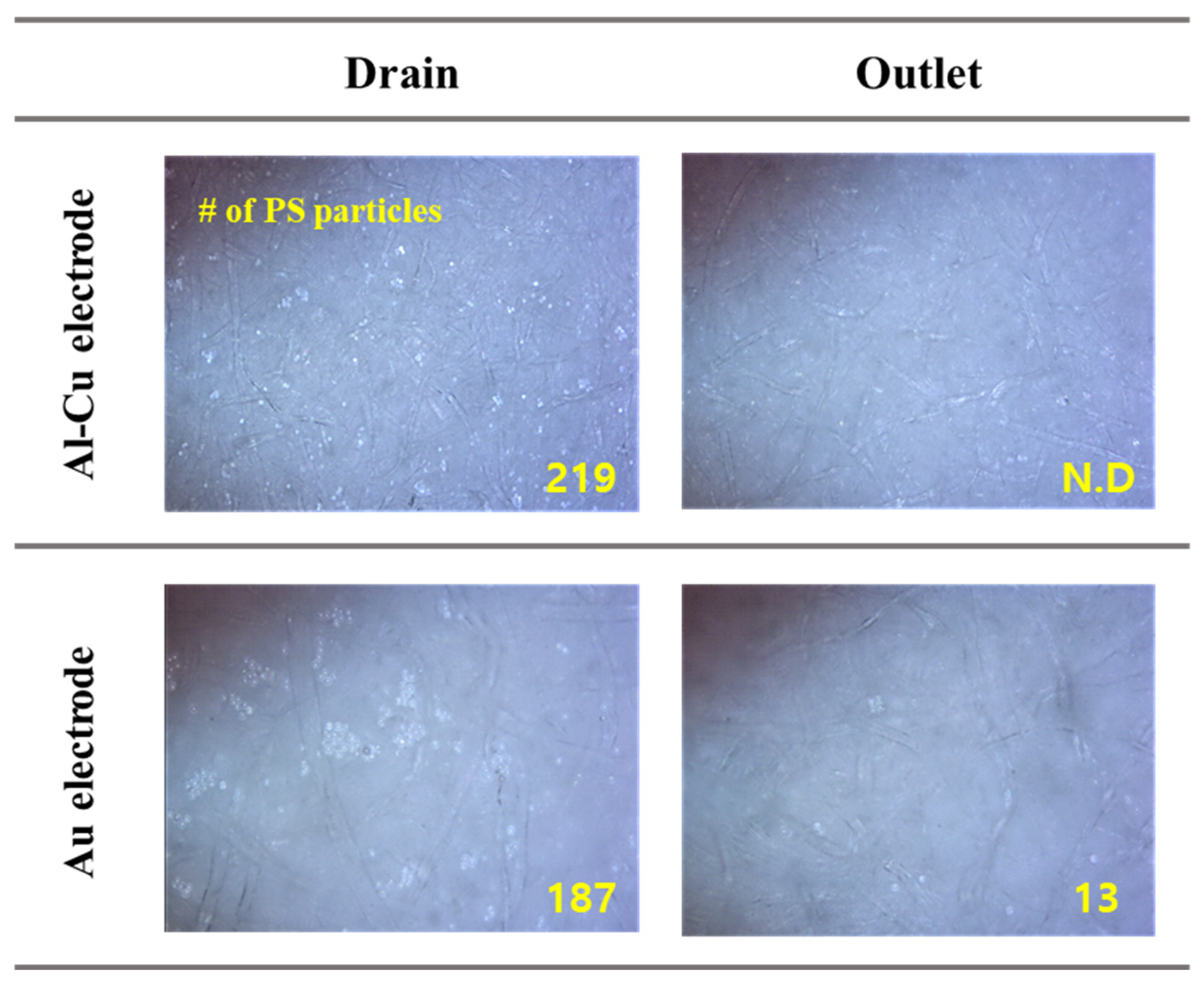 Coatings 14 01420 g009