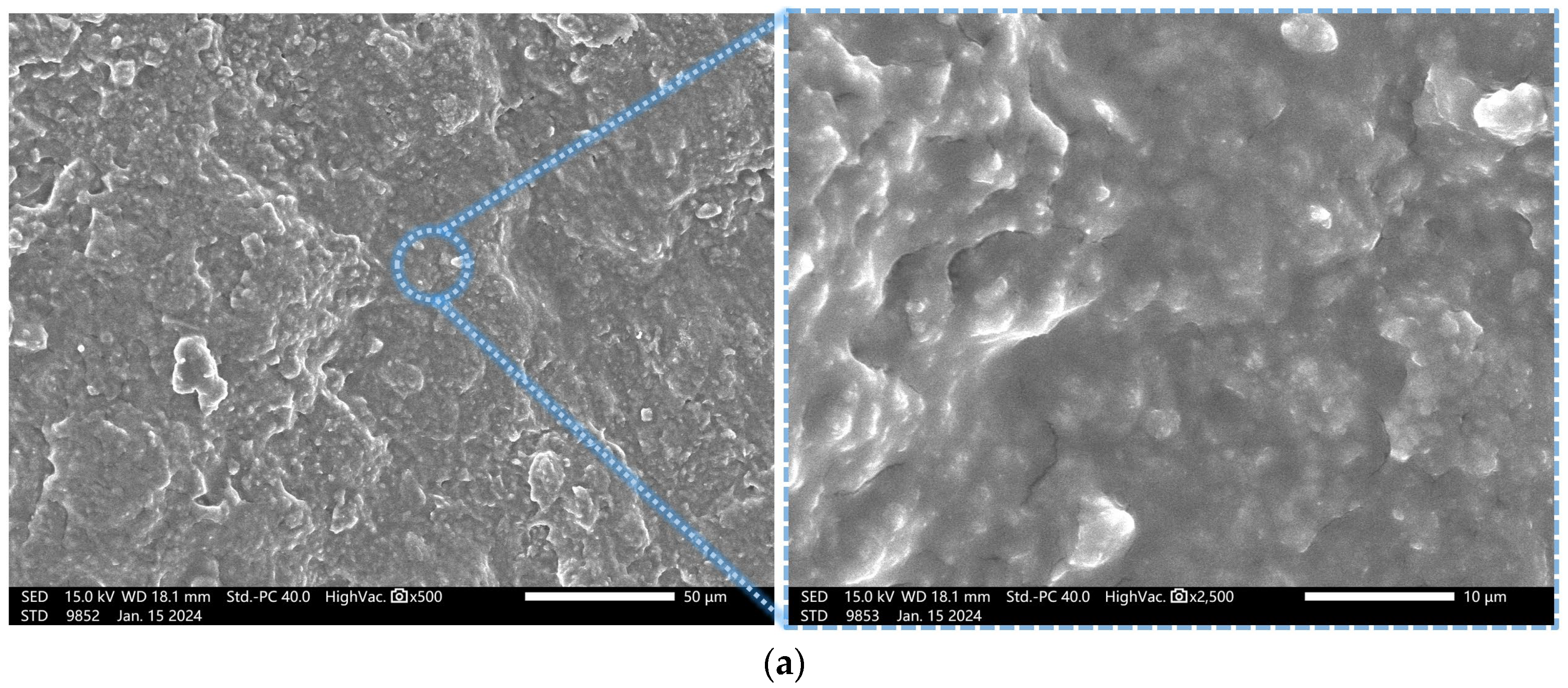 Coatings 14 01422 g010a