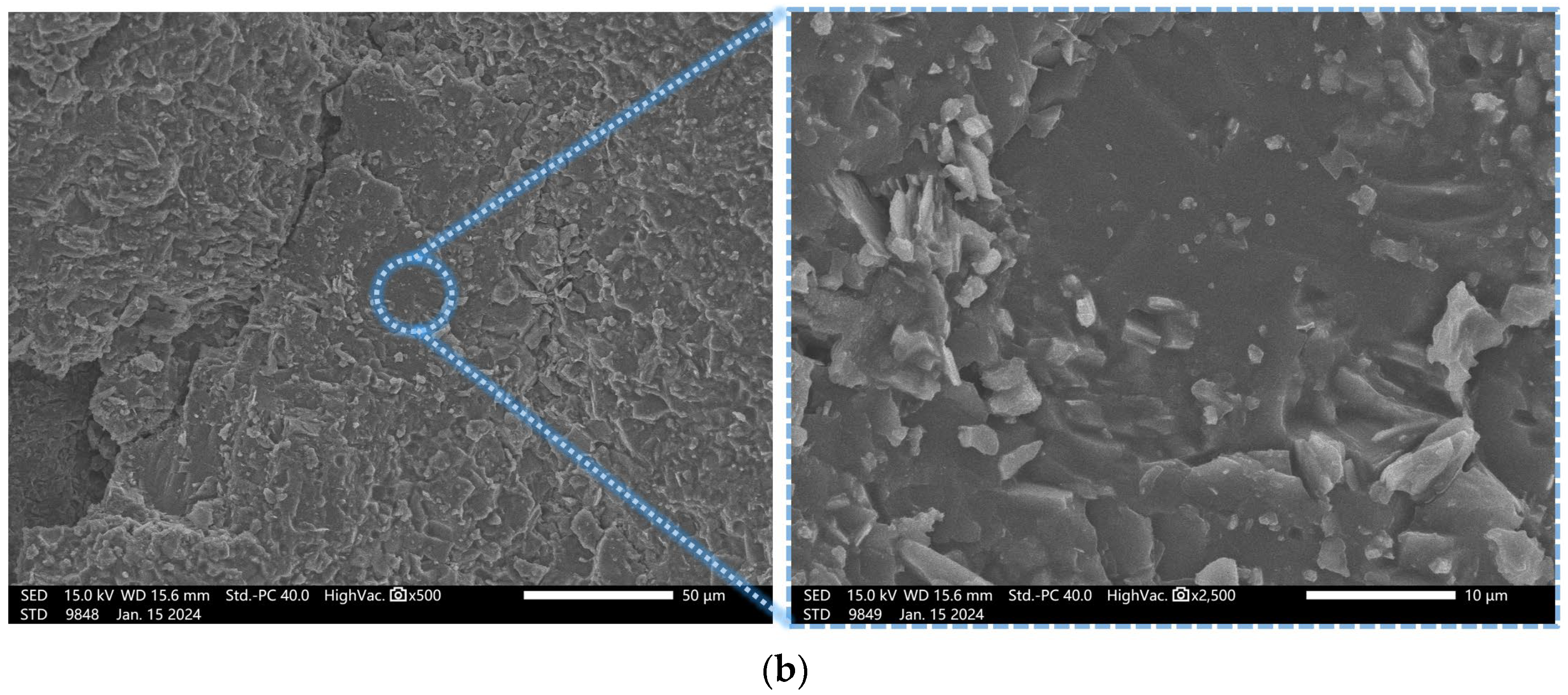 Coatings 14 01422 g010b