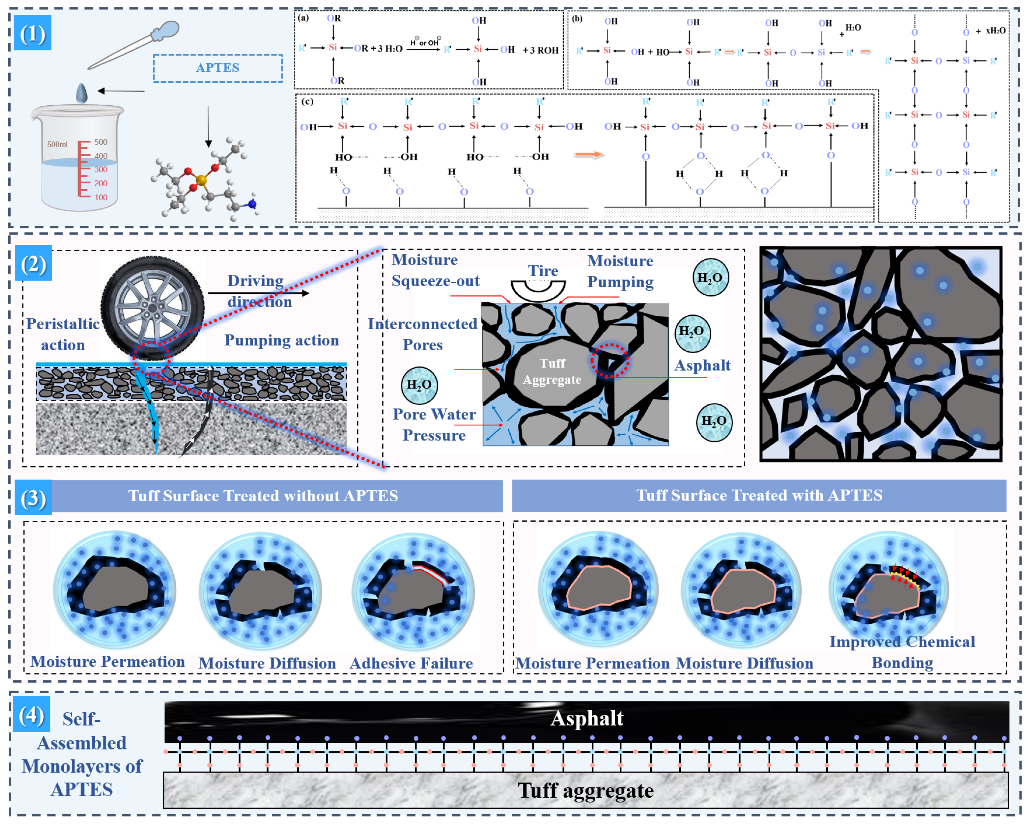 Coatings 14 01422 g013