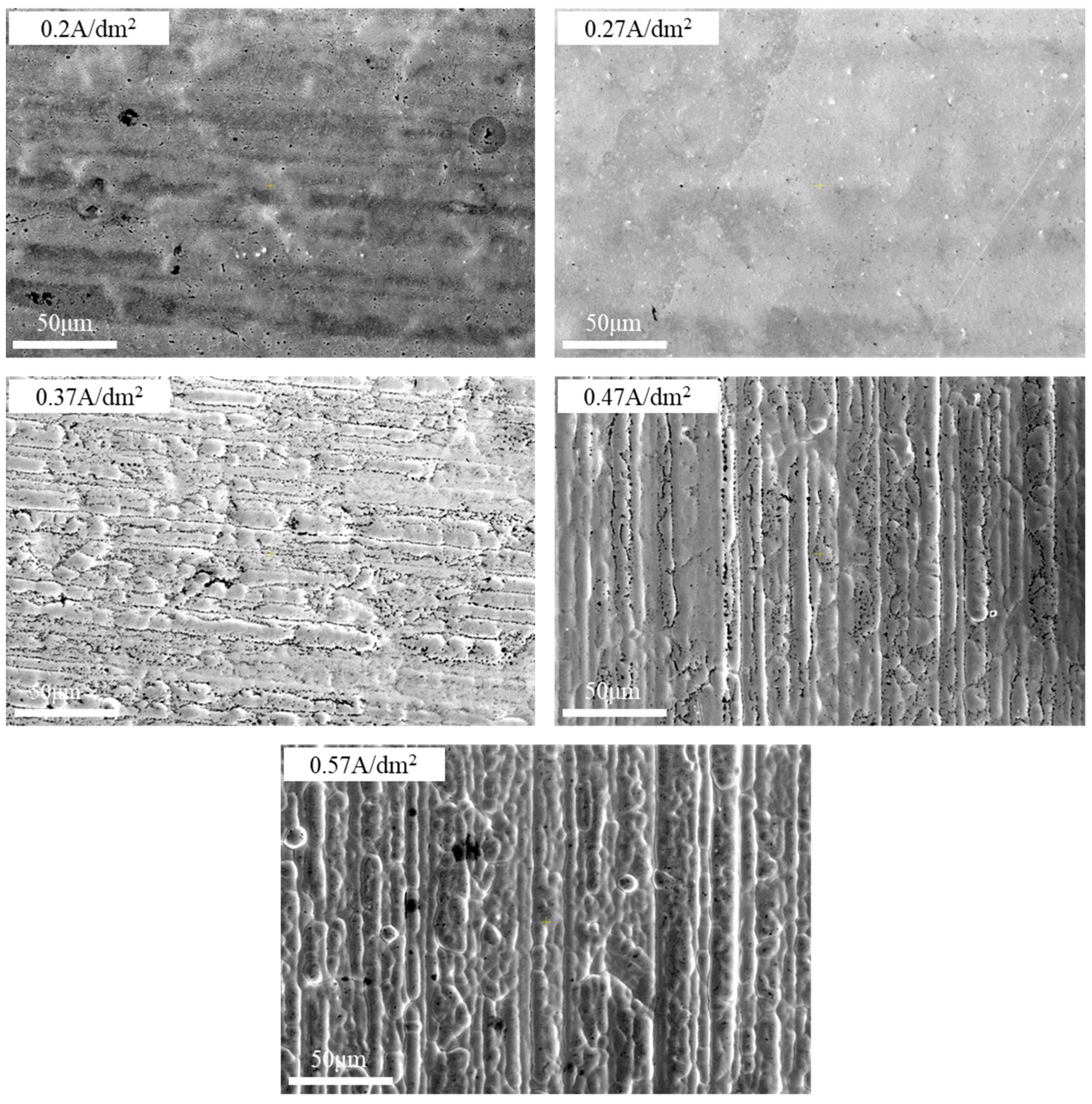 Coatings 14 01425 g002