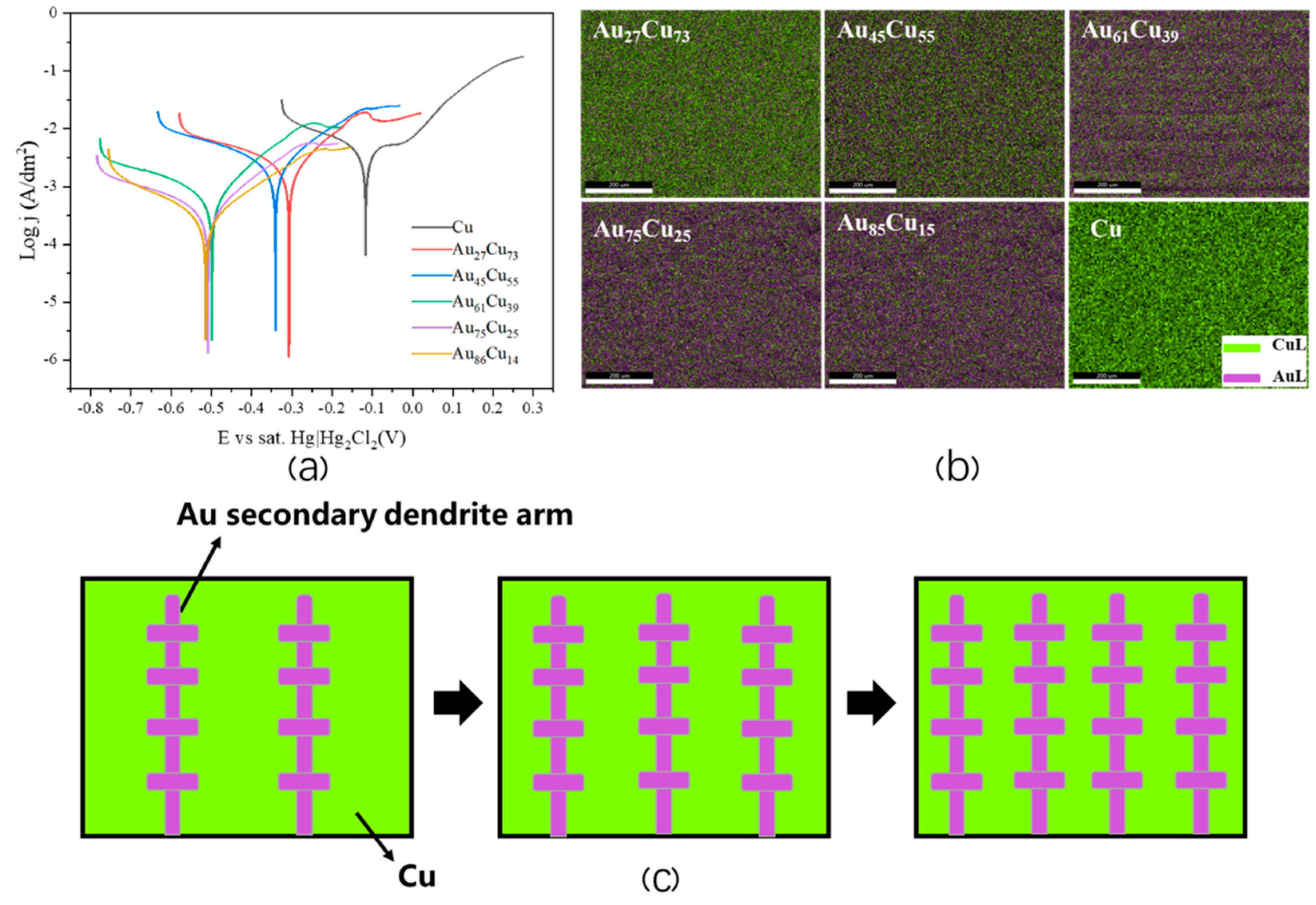 Coatings 14 01425 g003
