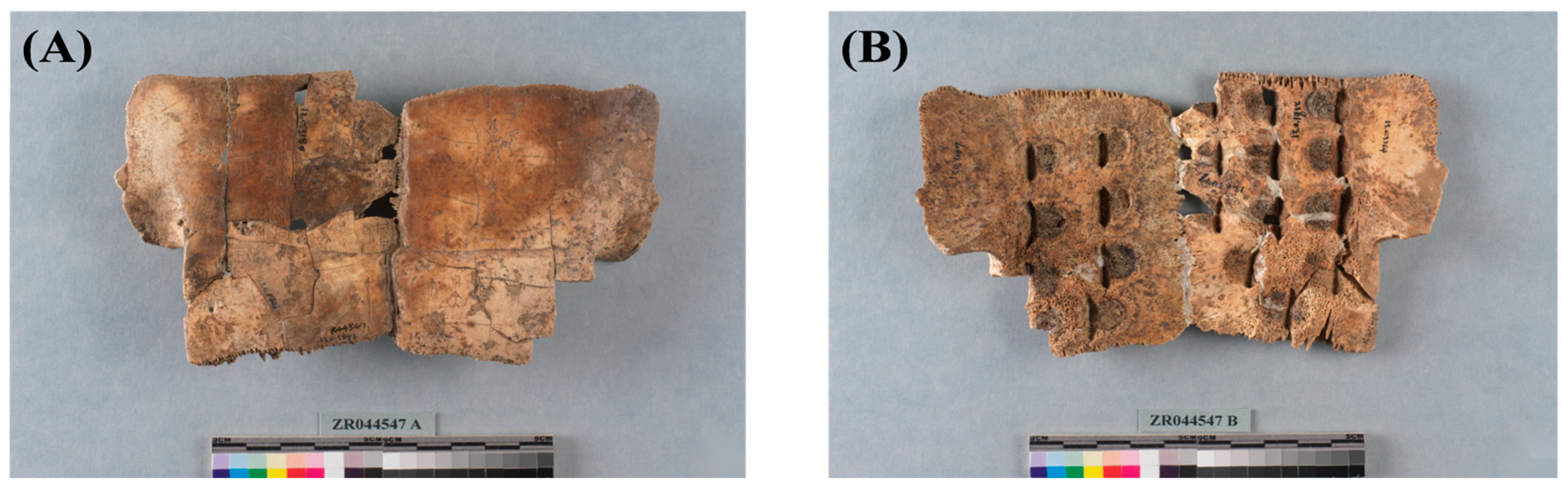 Coatings 14 01430 g001
