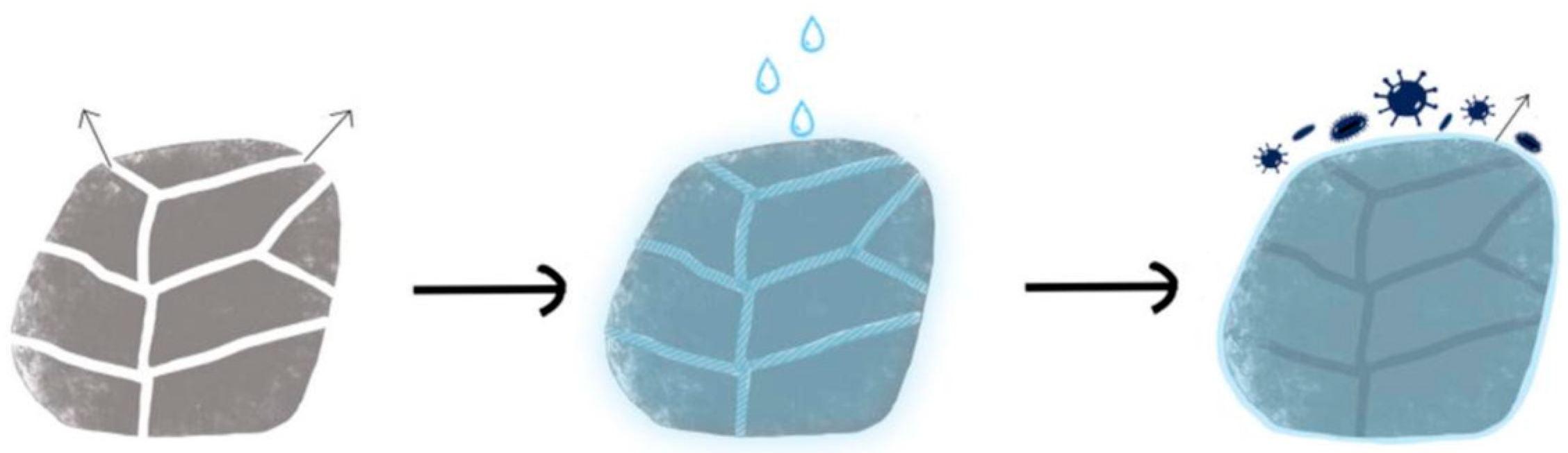 Coatings 14 01430 g002