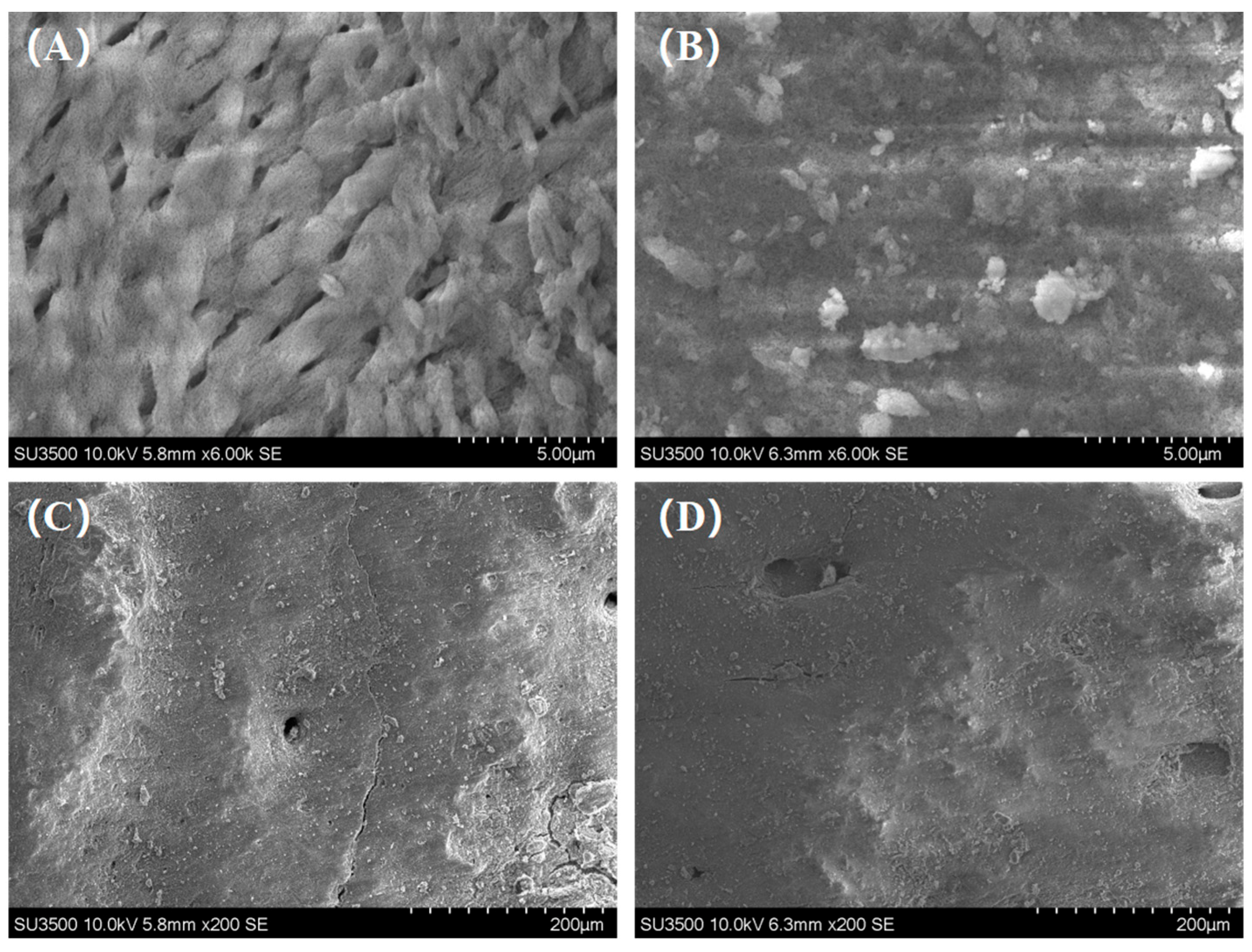 Coatings 14 01430 g007