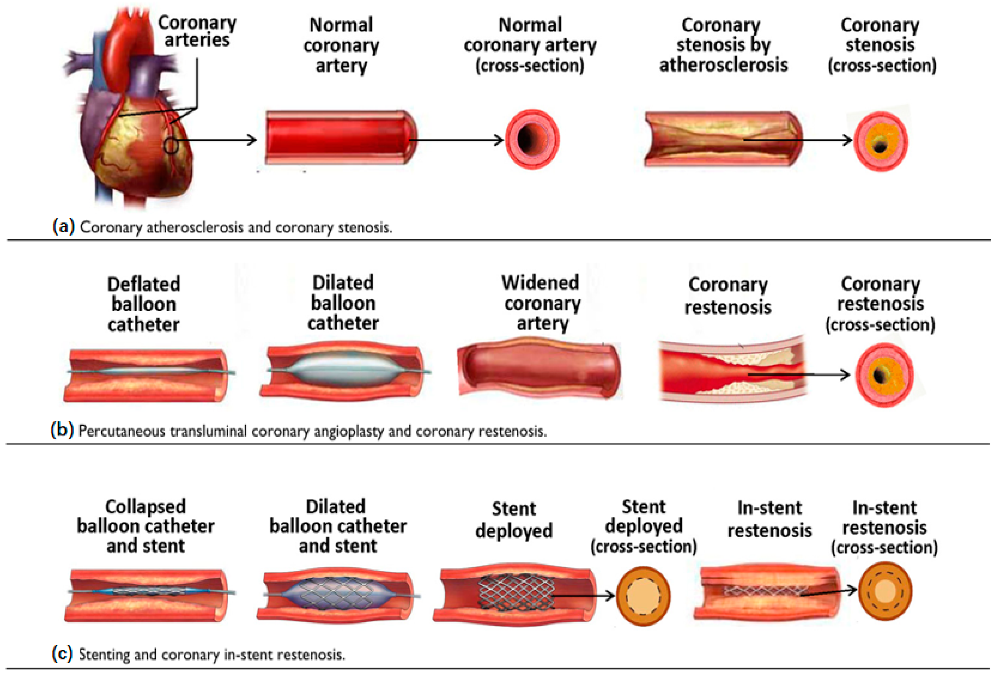 Coatings 14 01432 g004 Coatings 14 01432 g004
