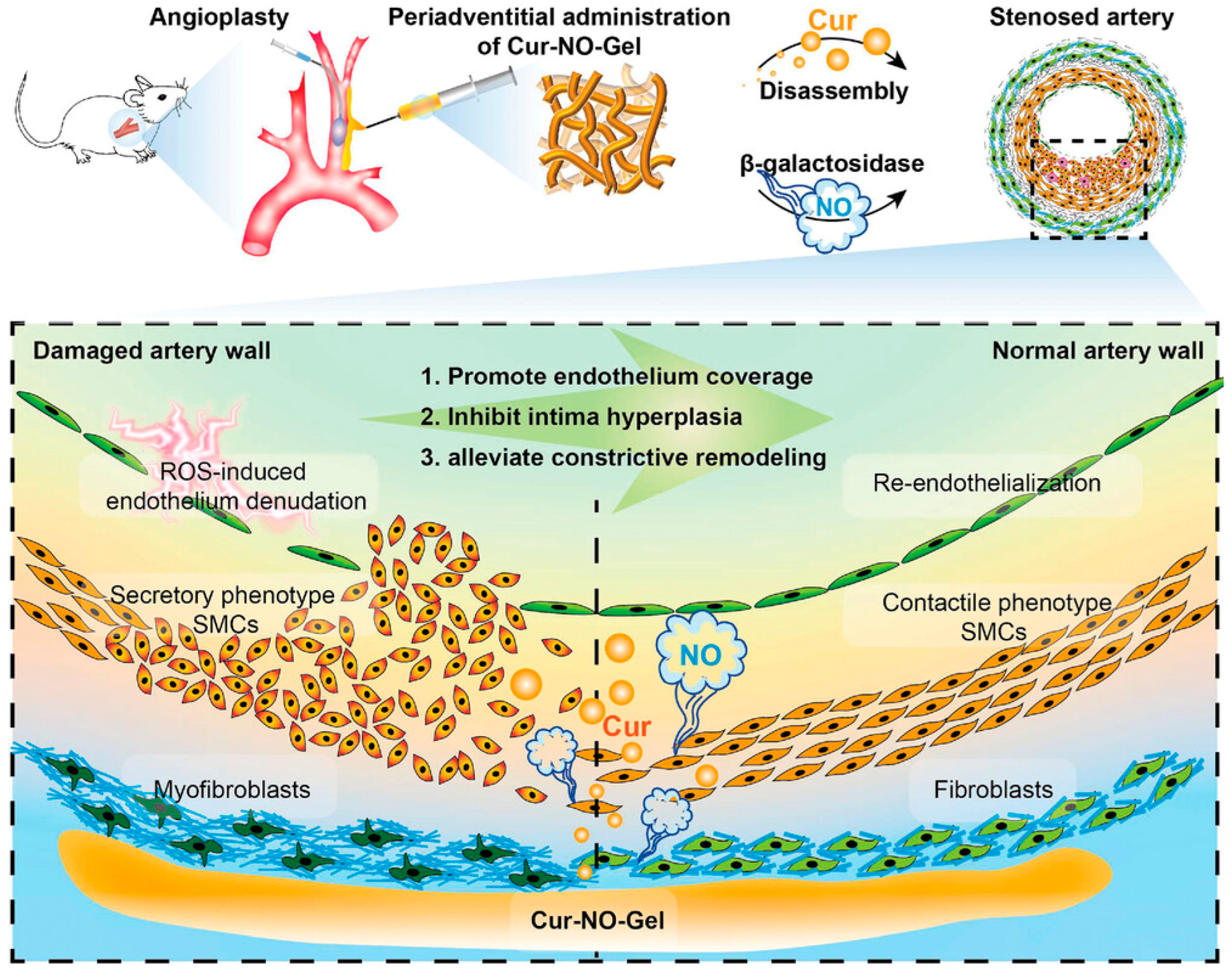 Coatings 14 01432 g005 Coatings 14 01432 g005
