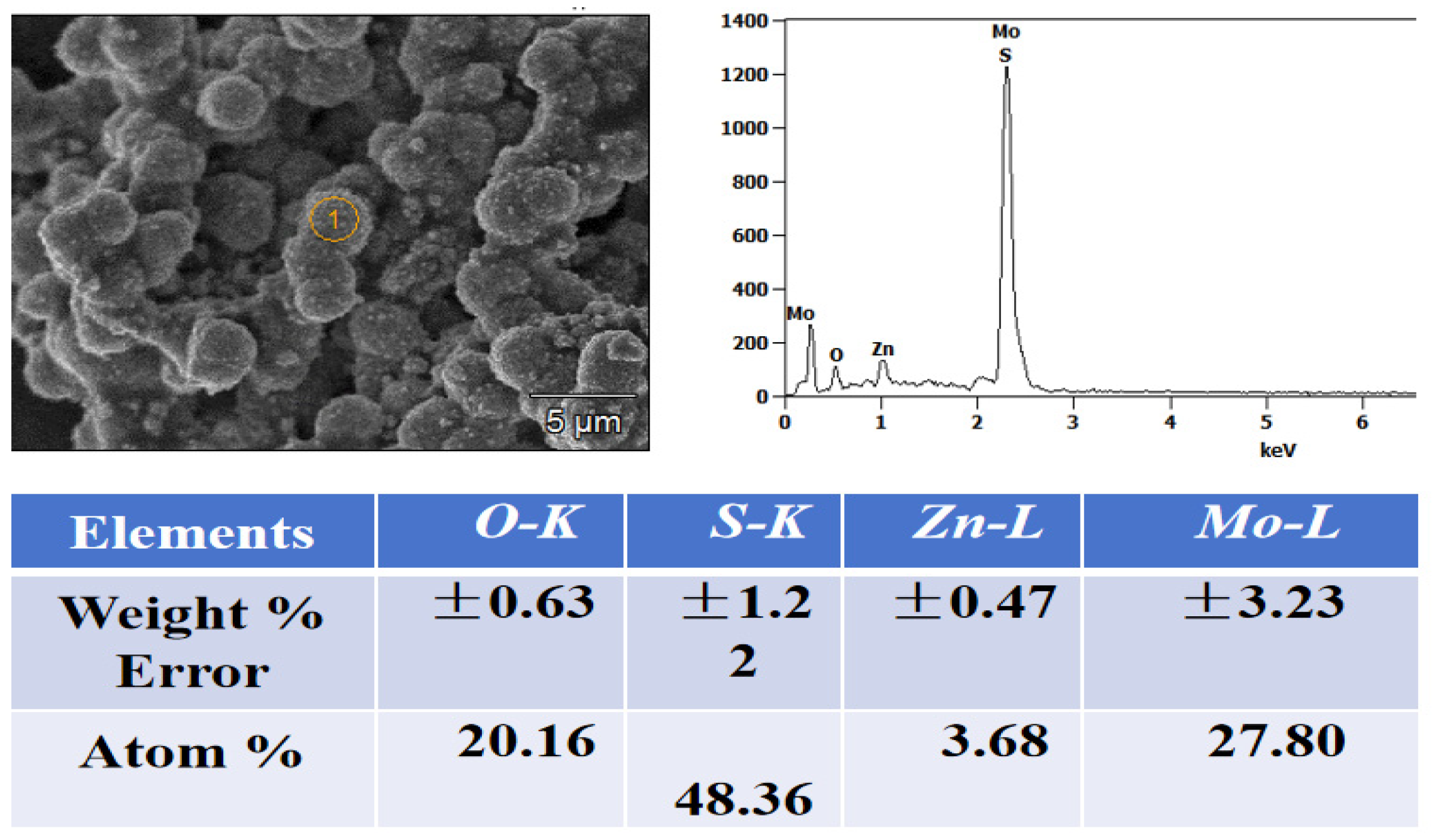 Coatings 14 01438 g005