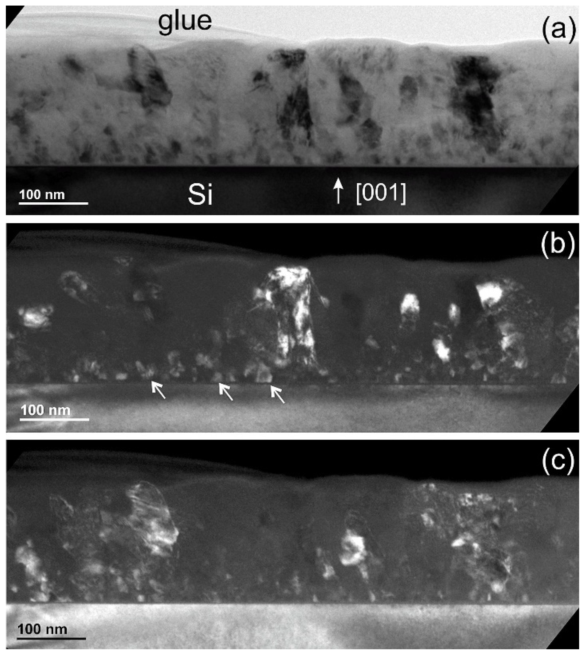 Coatings 14 01441 g008