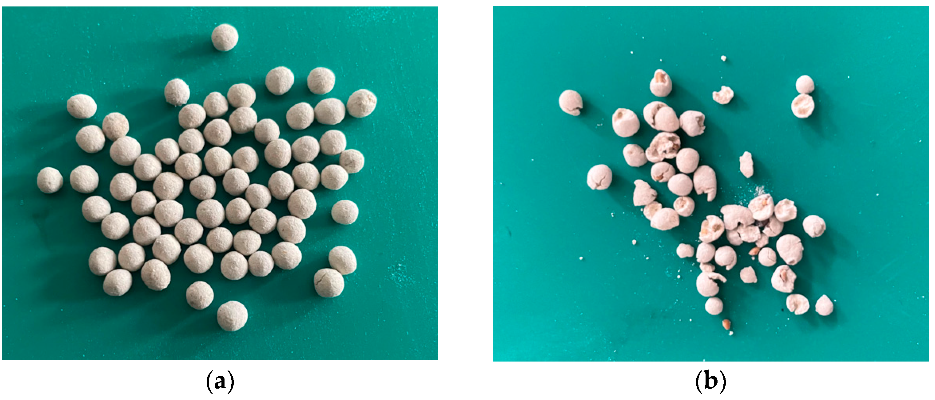 Coatings 14 01443 g003