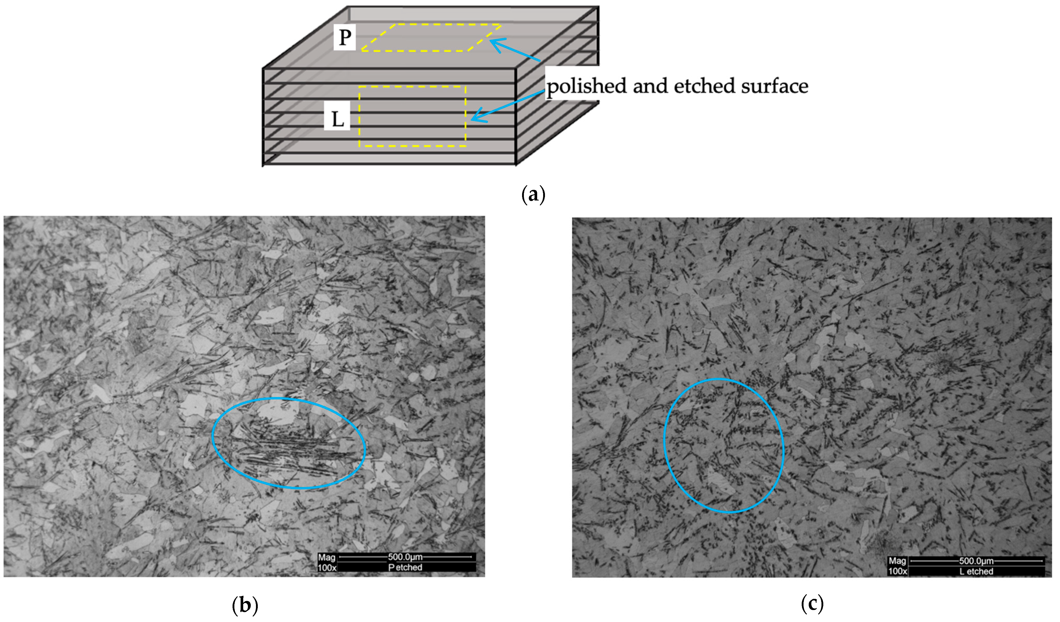 Coatings 14 01447 g004