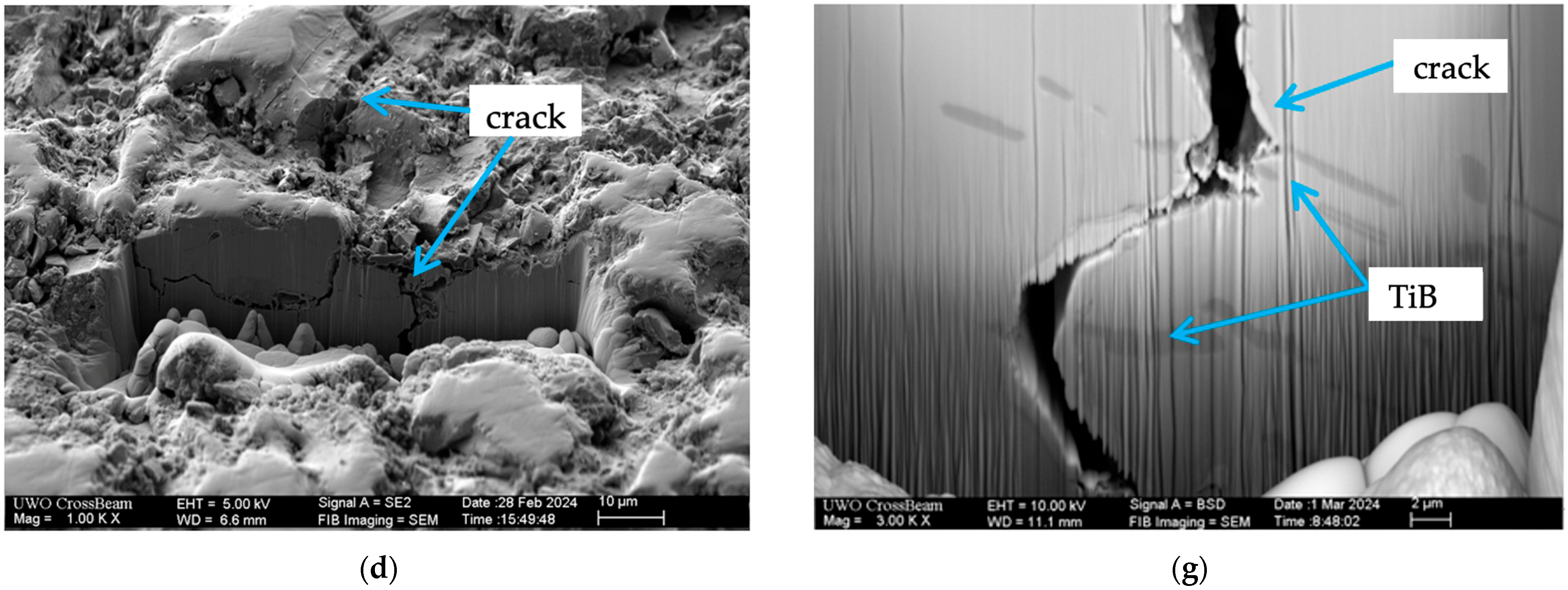 Coatings 14 01447 g005b