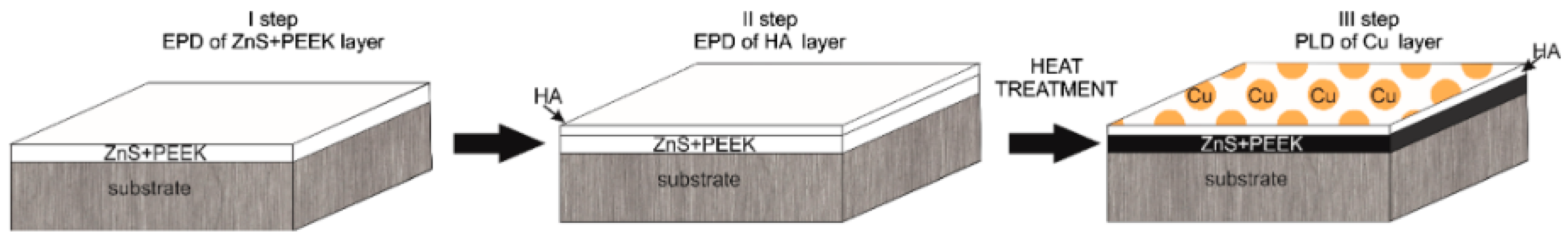 Coatings 14 01451 g010