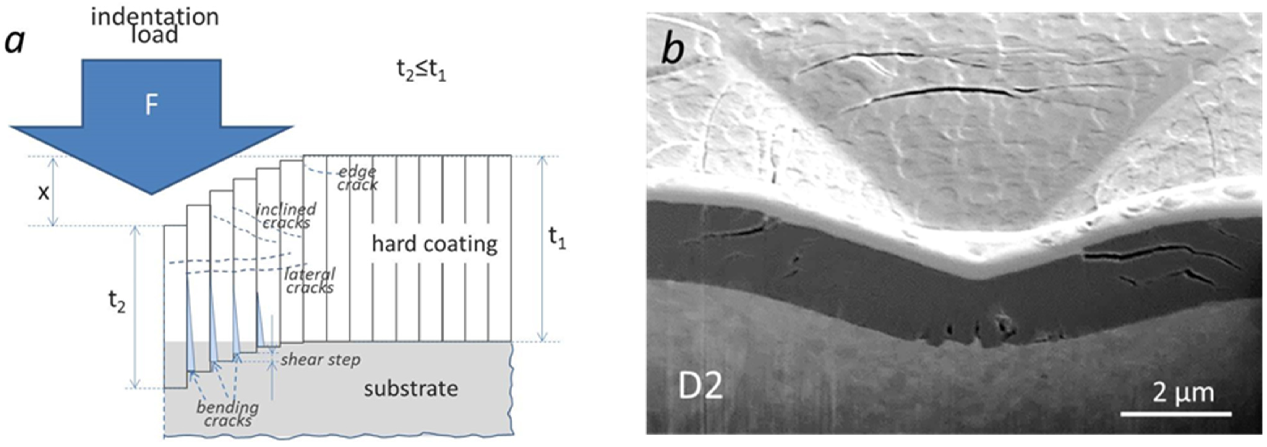 Coatings 14 01452 g001