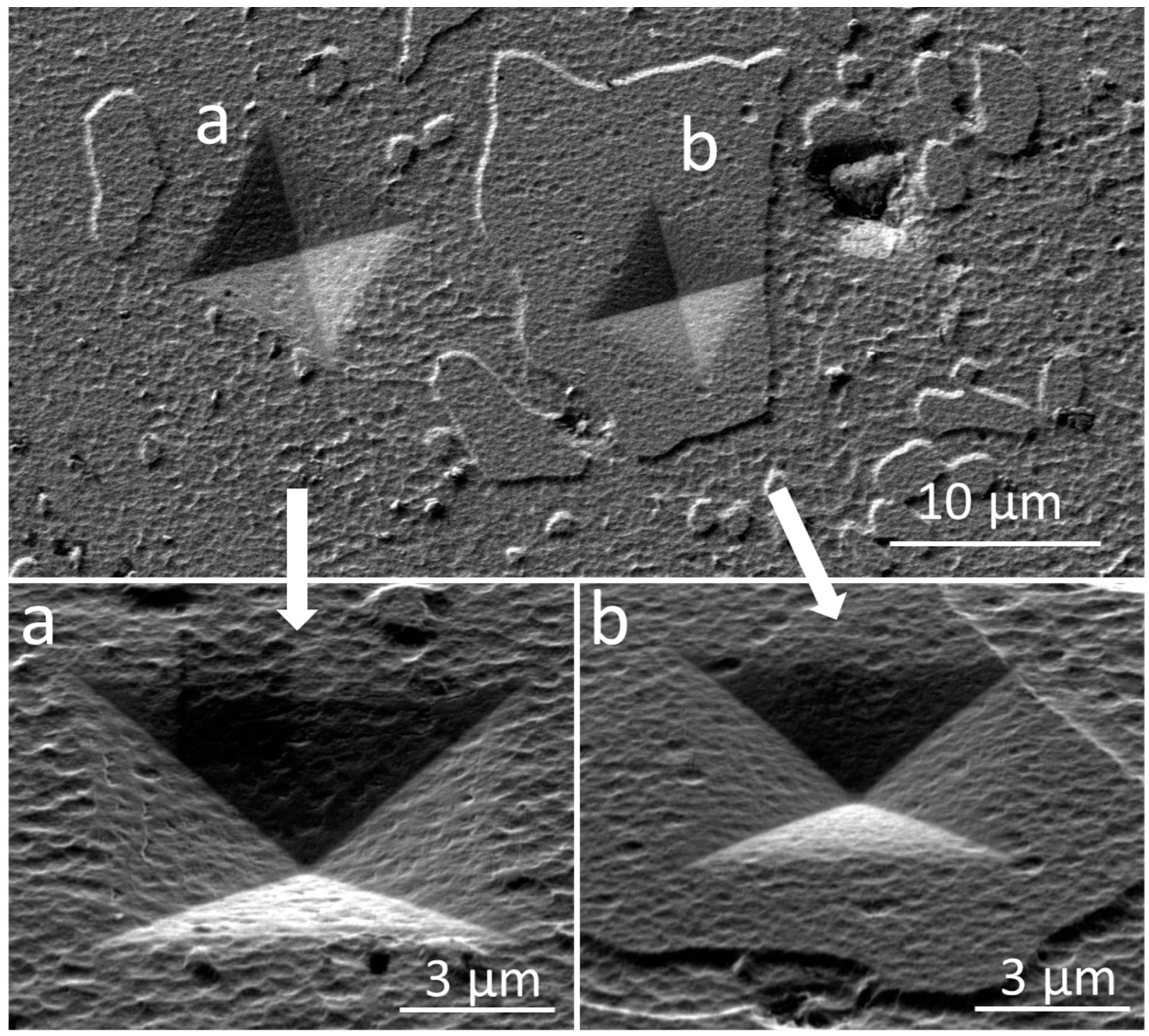 Coatings 14 01452 g002