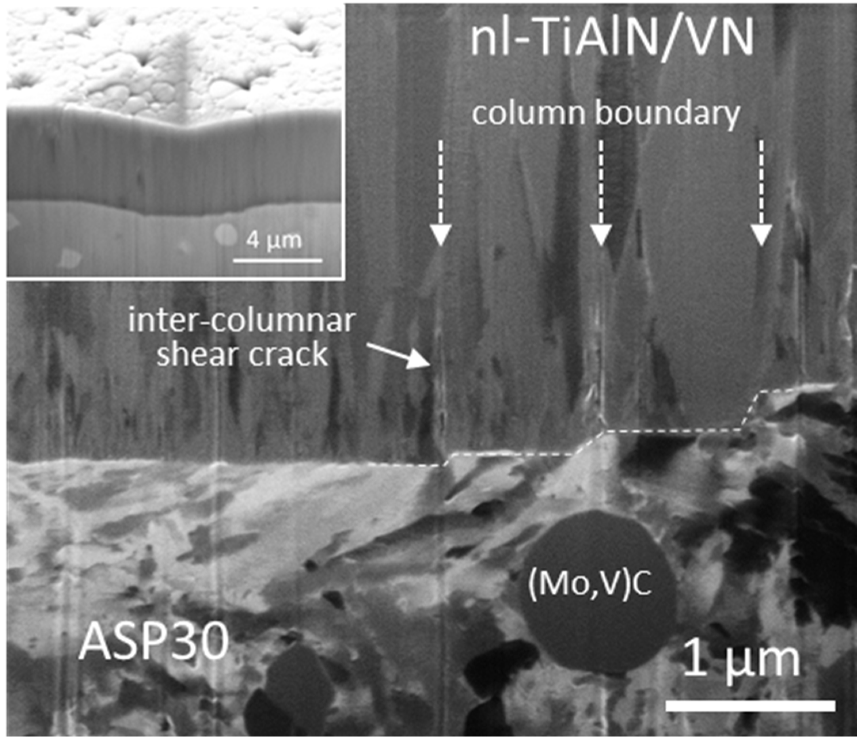 Coatings 14 01452 g005