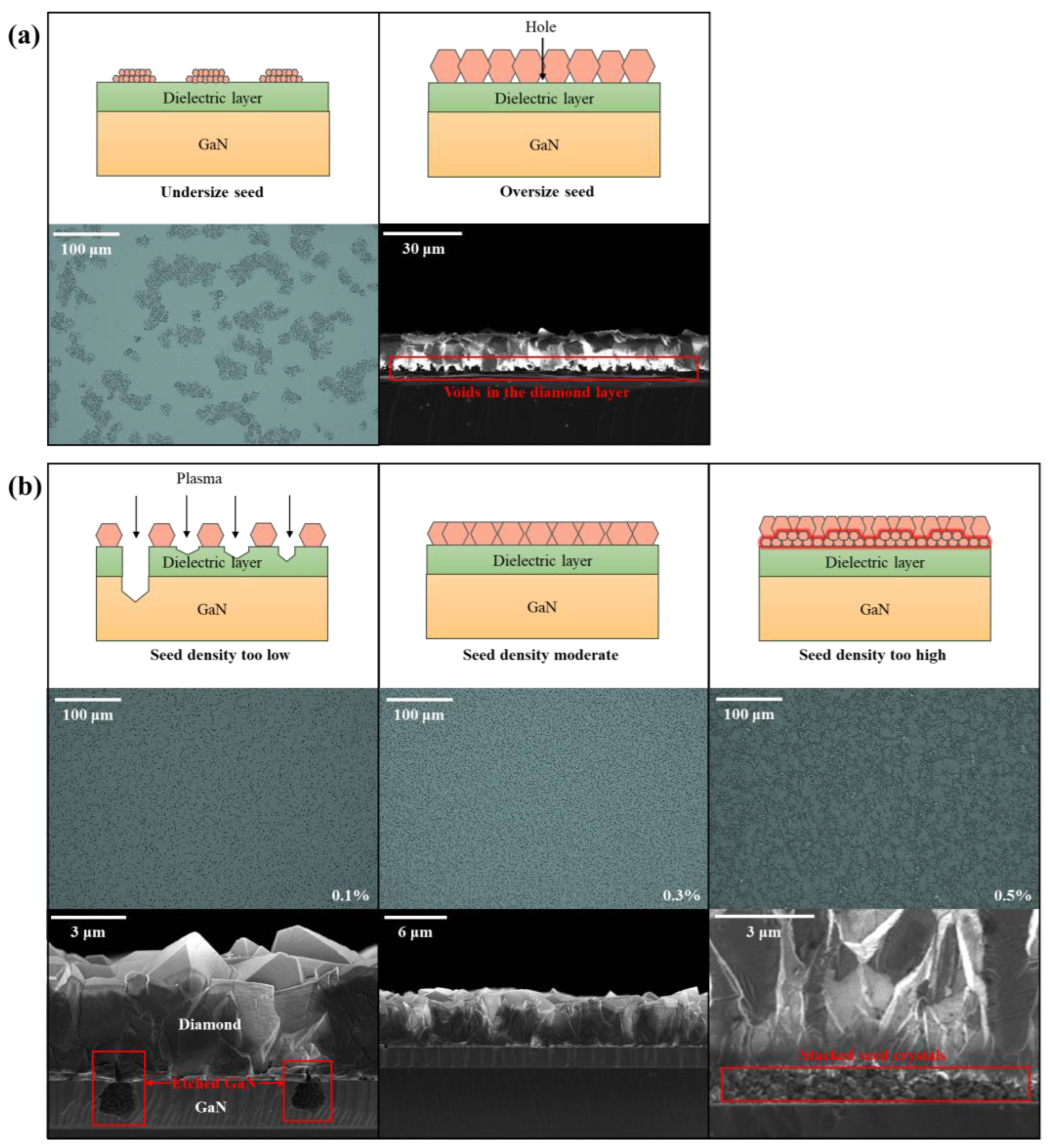 Coatings 14 01457 g002