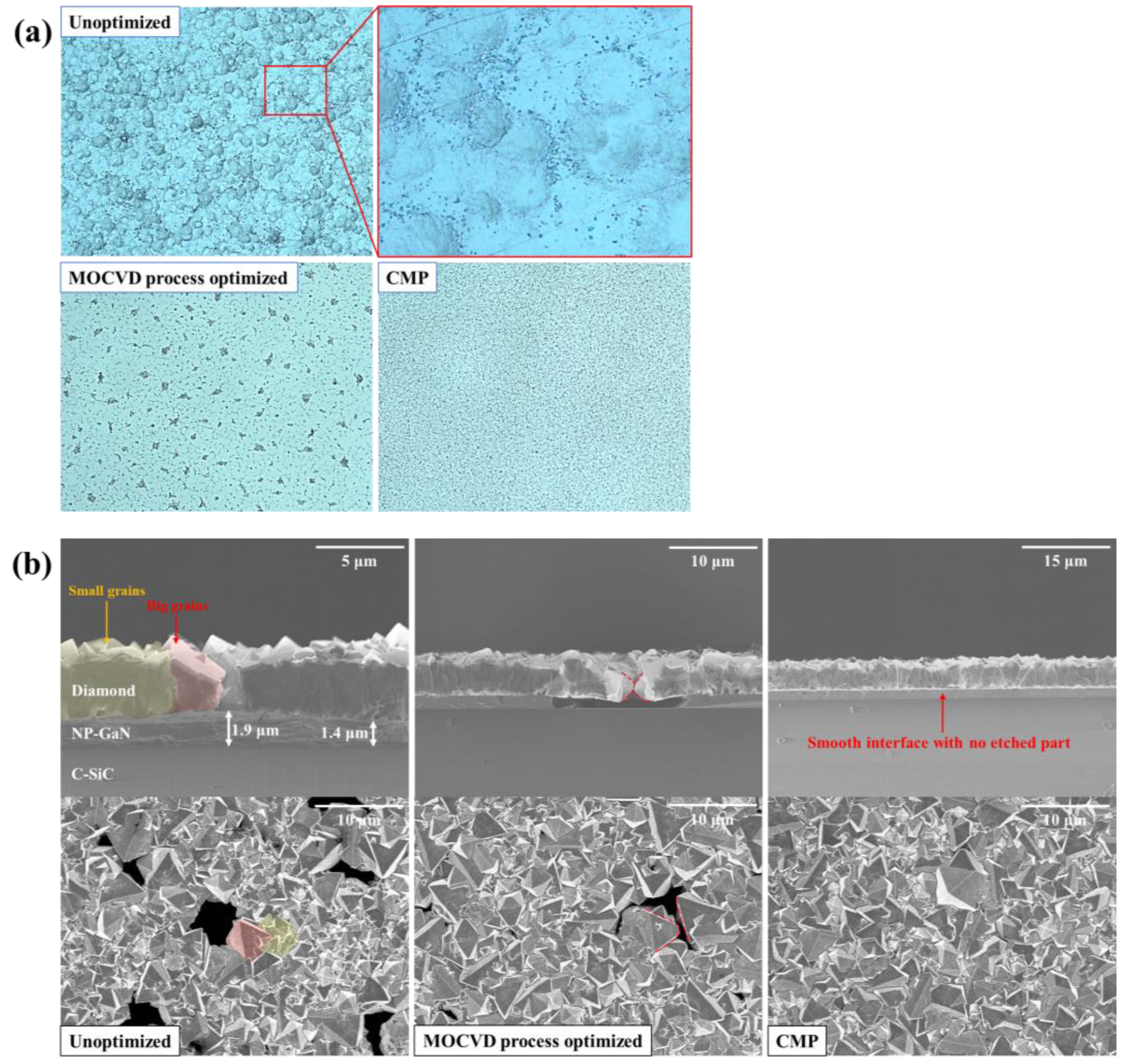 Coatings 14 01457 g005