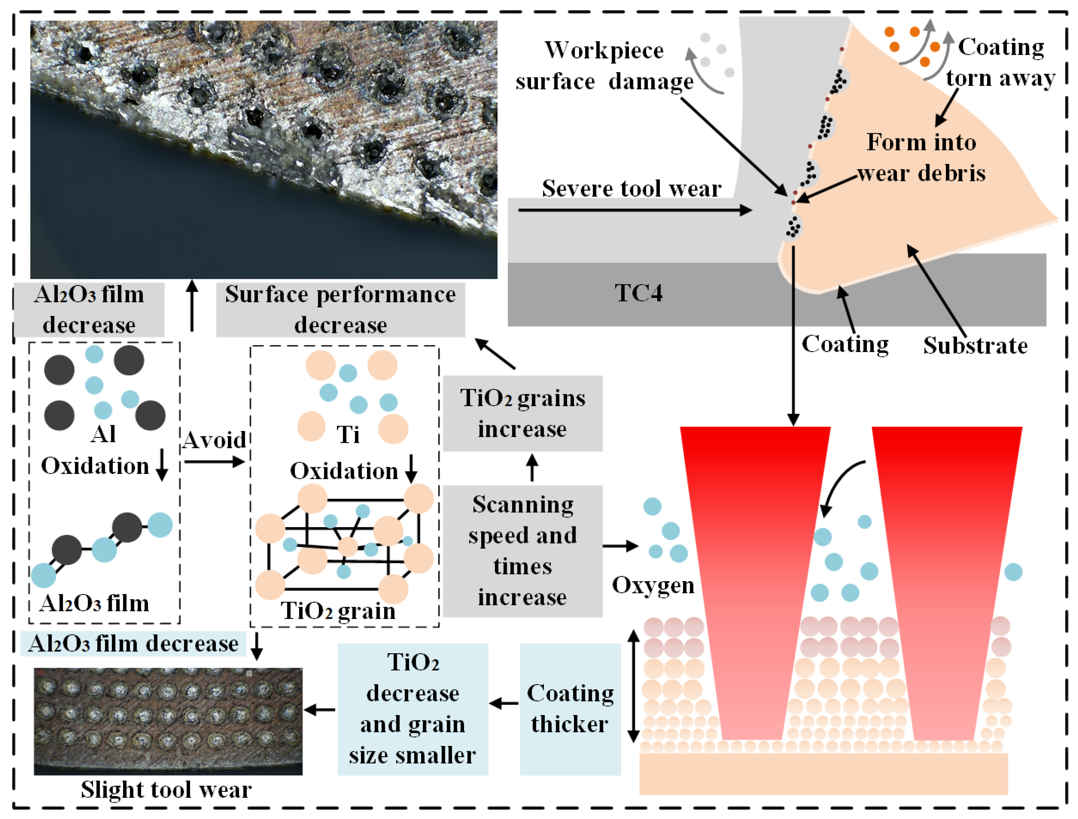Coatings 14 01458 g009
