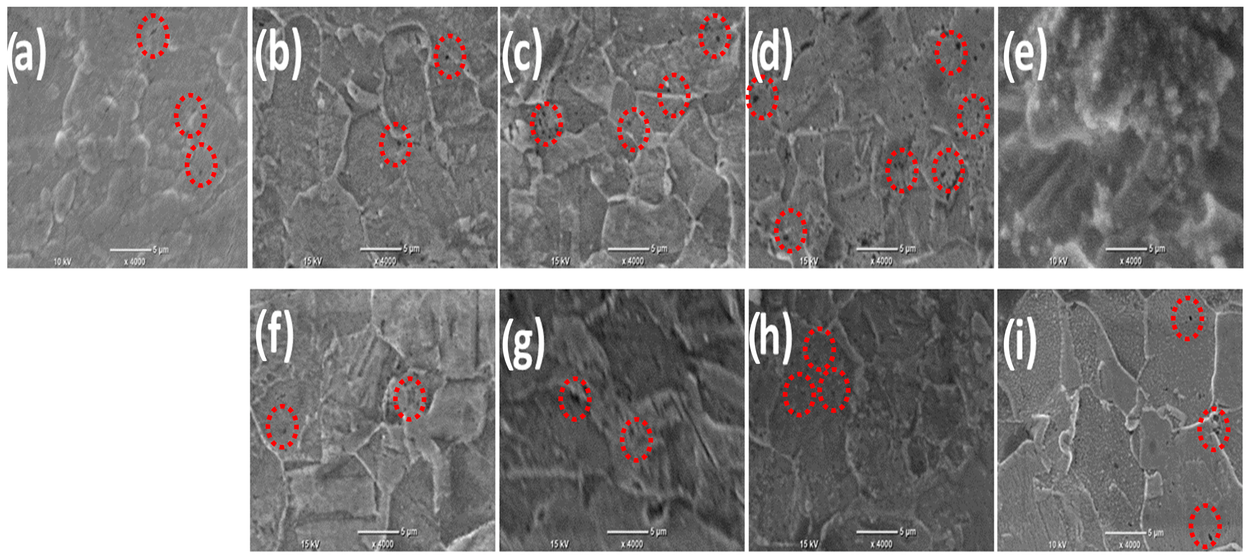 Coatings 14 01459 g001