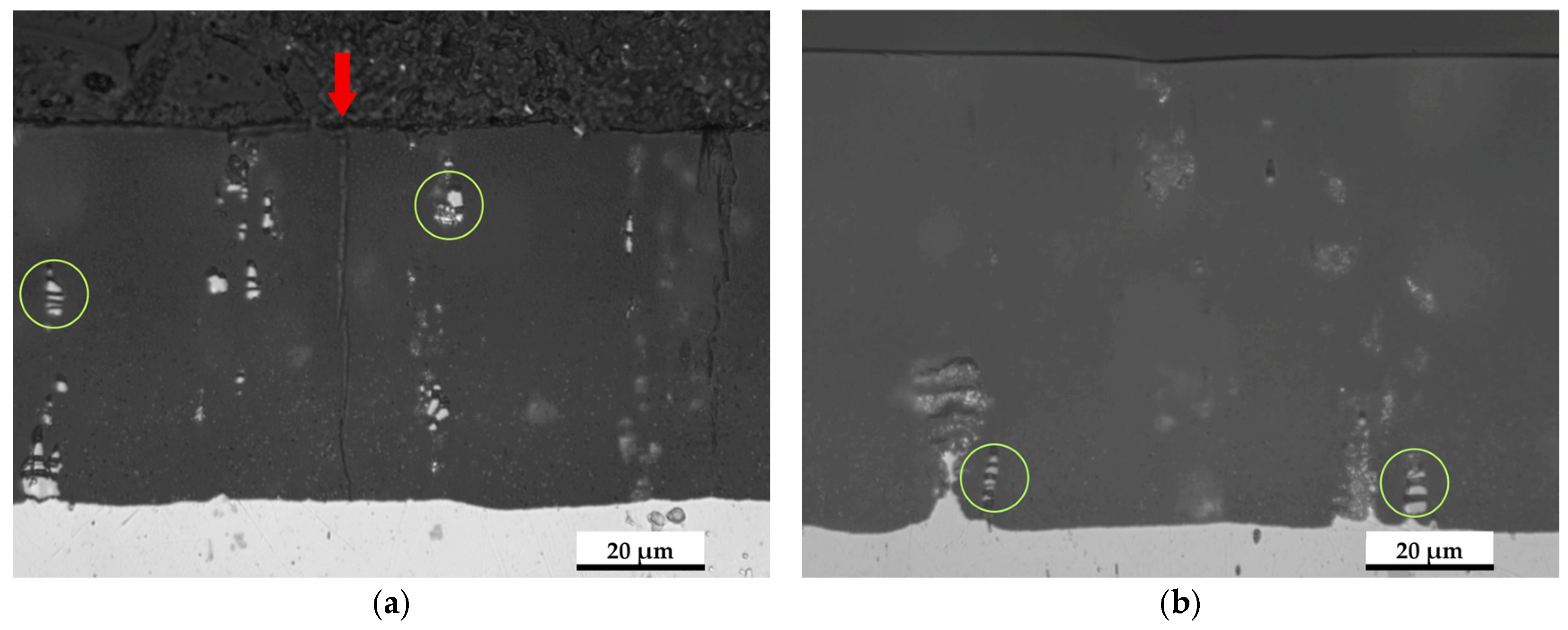 Coatings 14 01469 g001