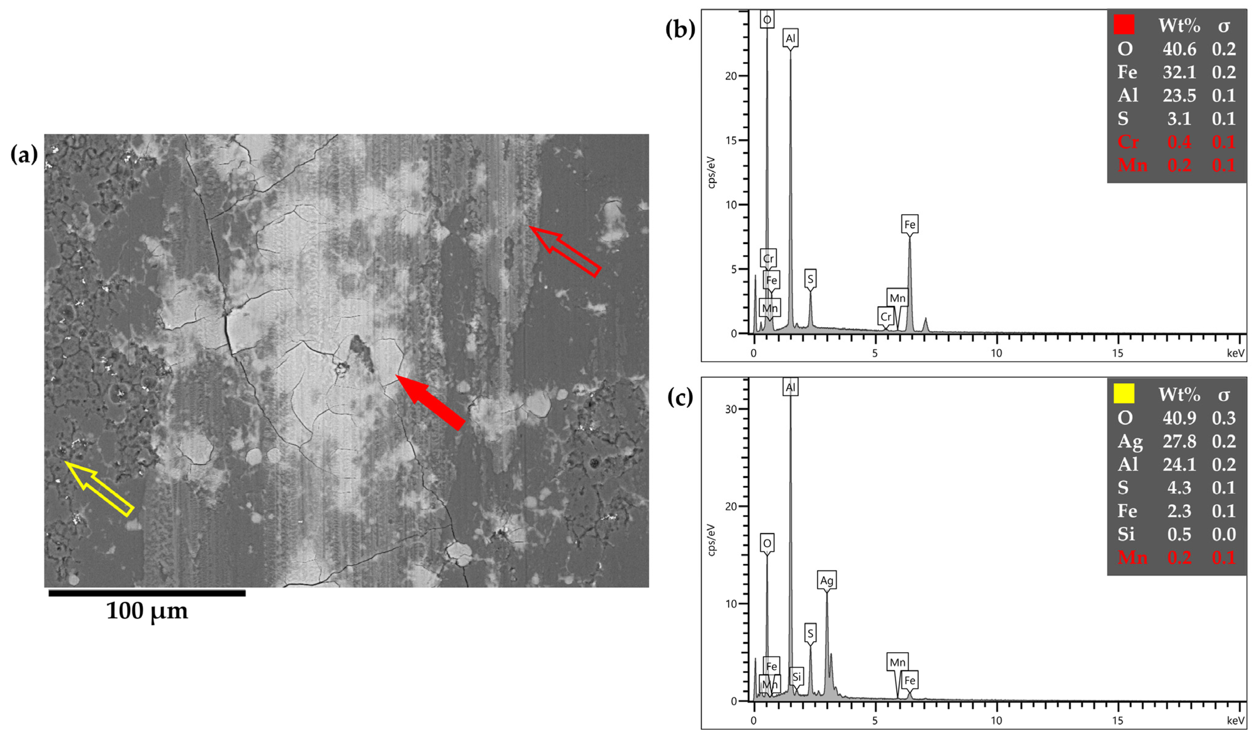 Coatings 14 01469 g004