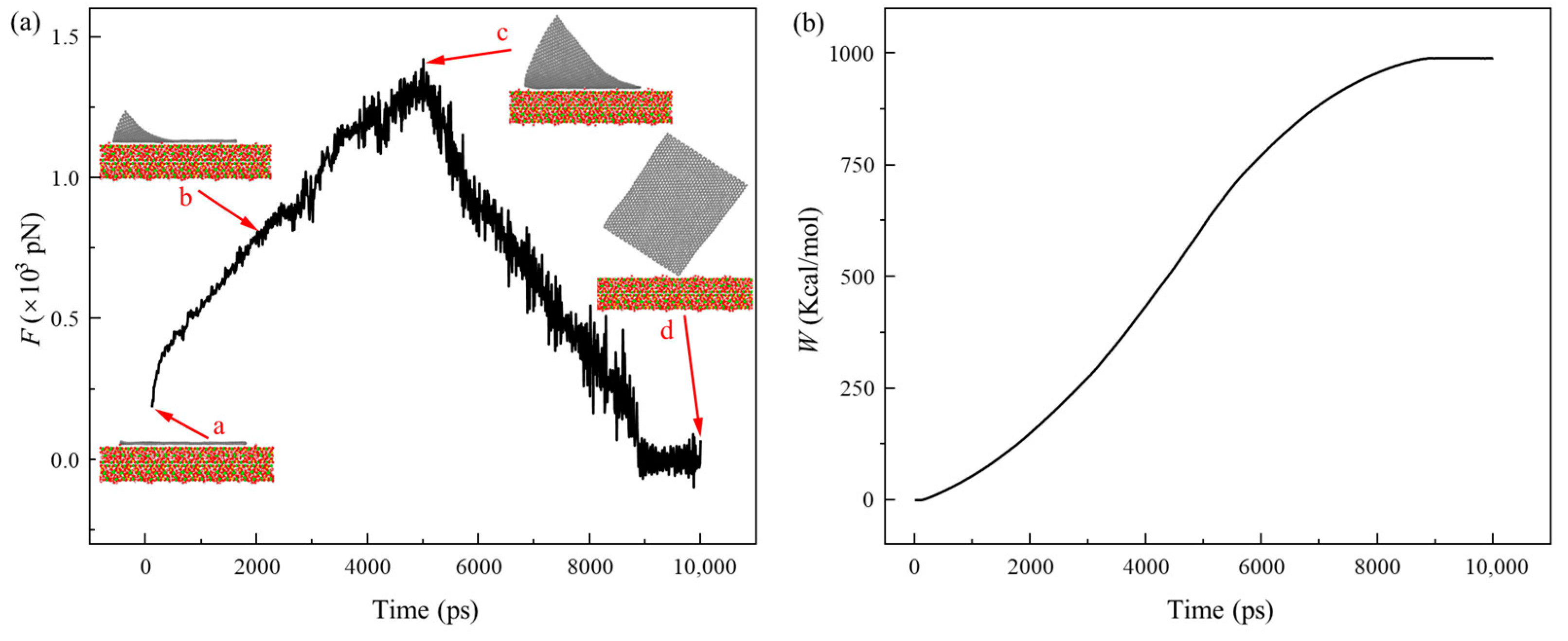 Coatings 14 01470 g004
