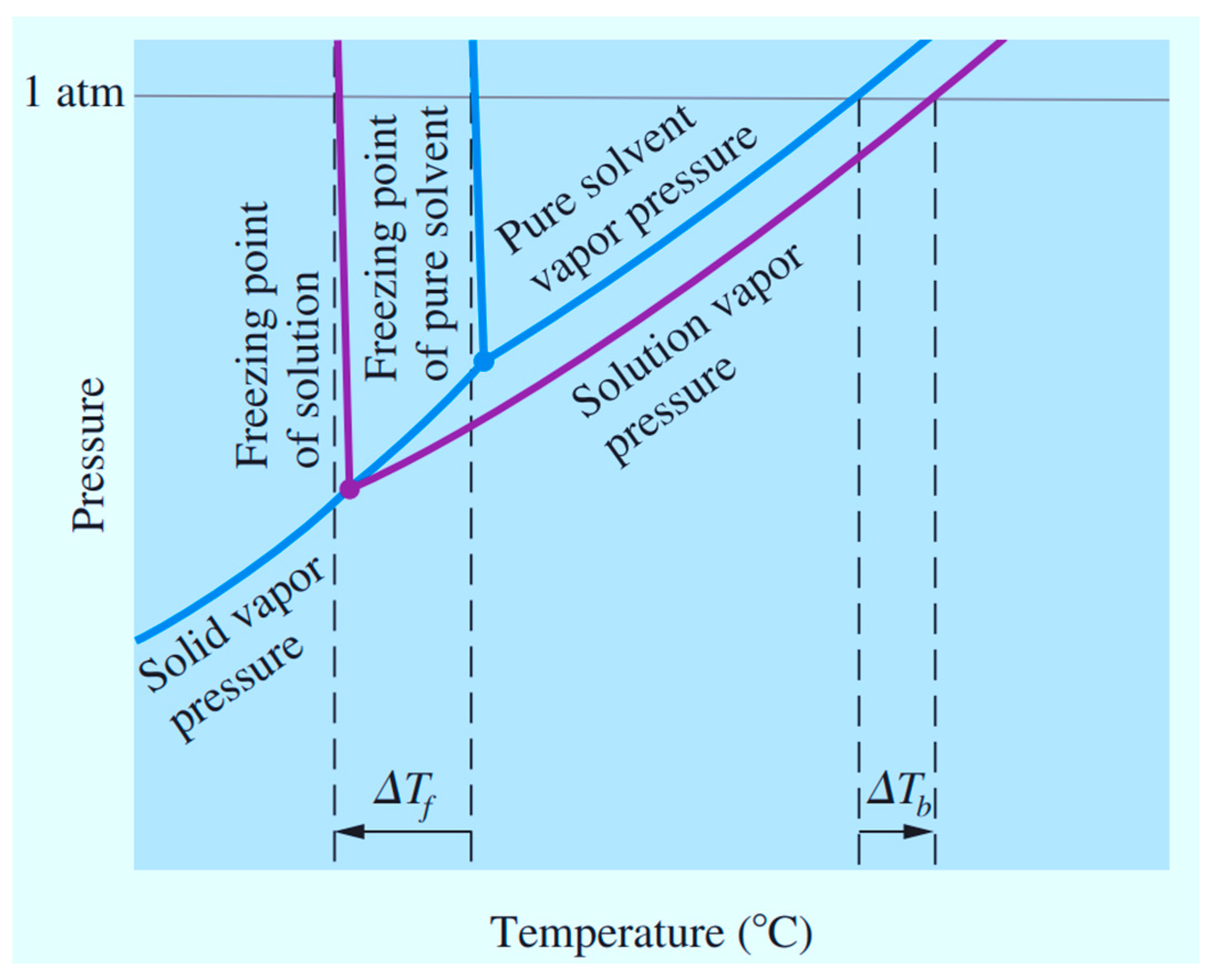 Coatings 14 01474 g011