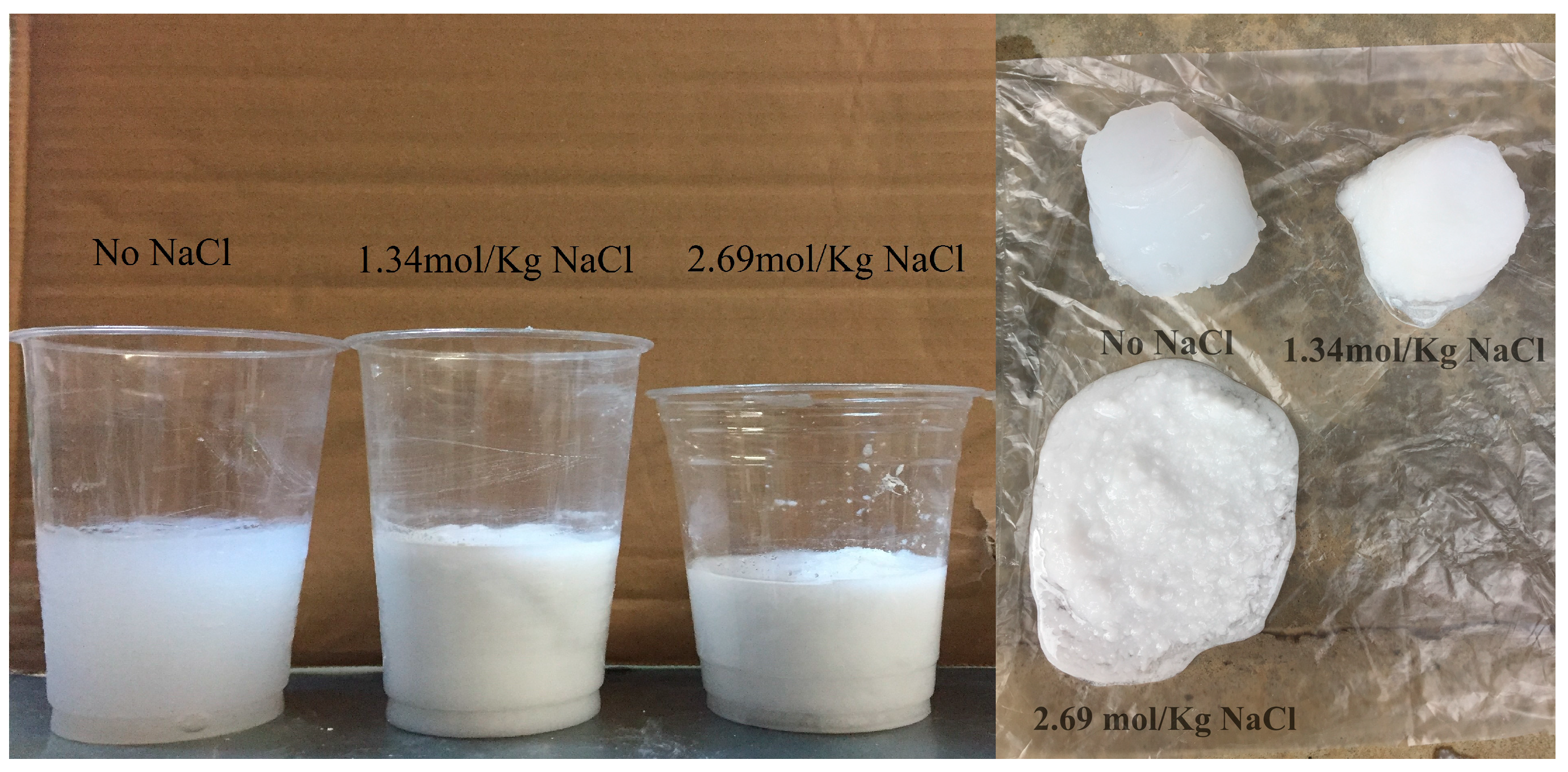 Coatings 14 01474 g016