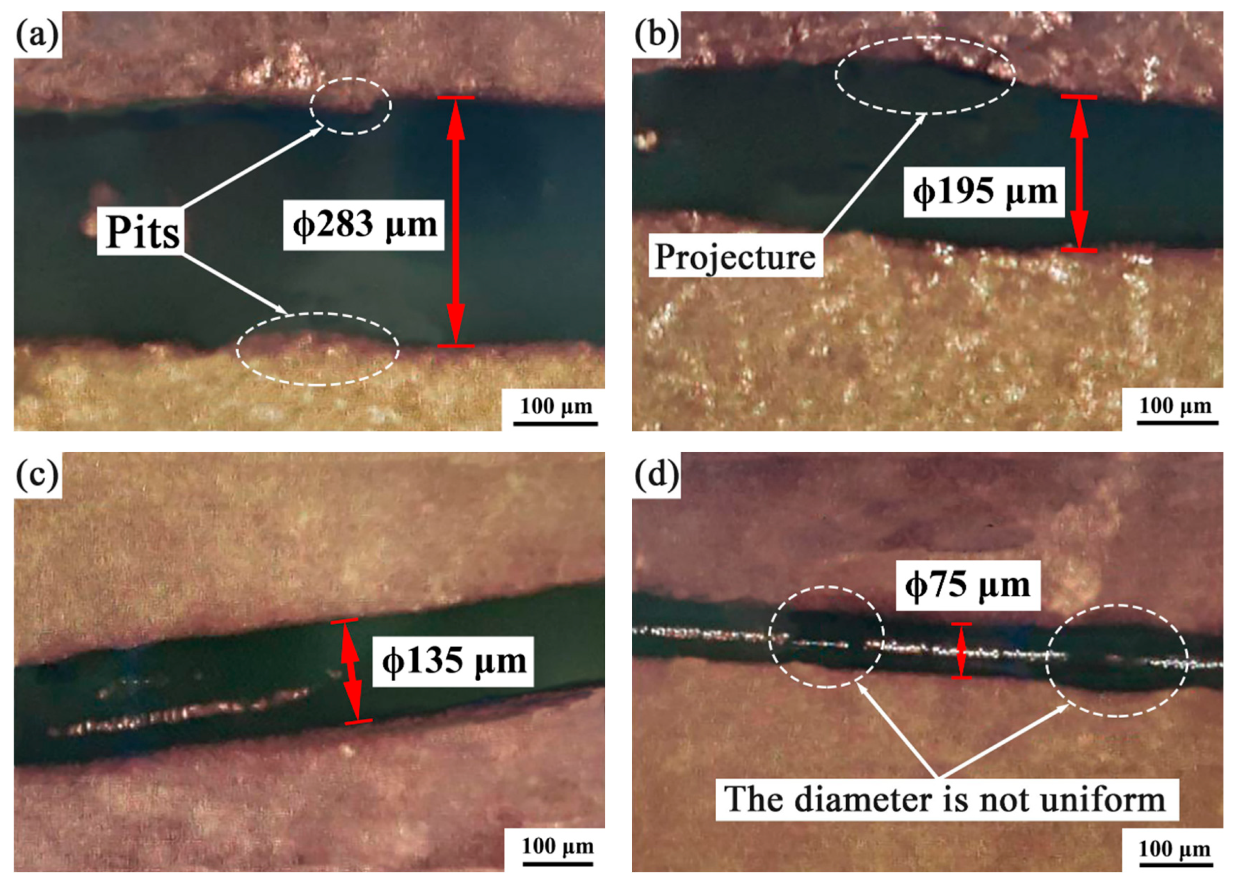 Coatings 14 01479 g004
