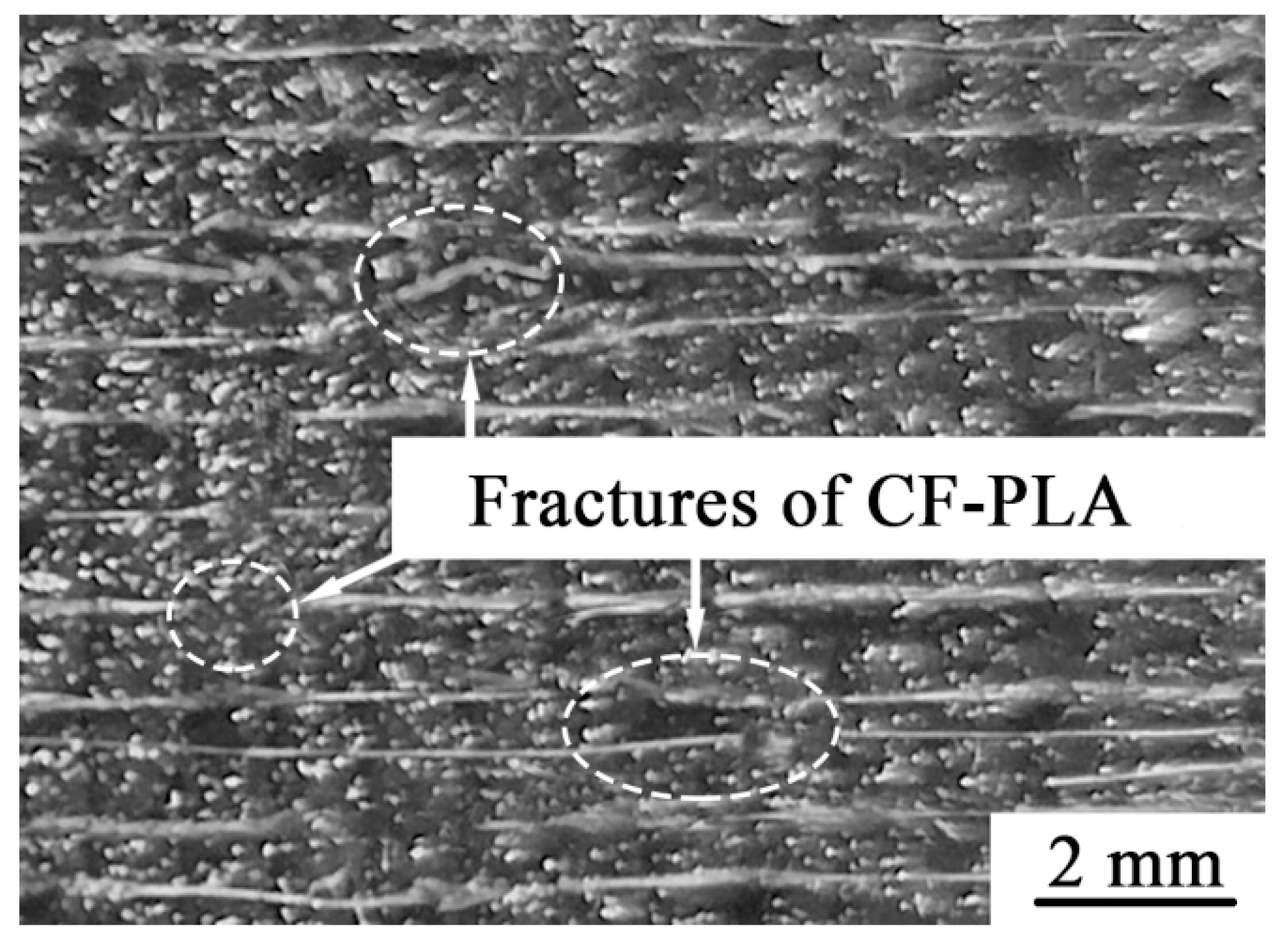 Coatings 14 01479 g010