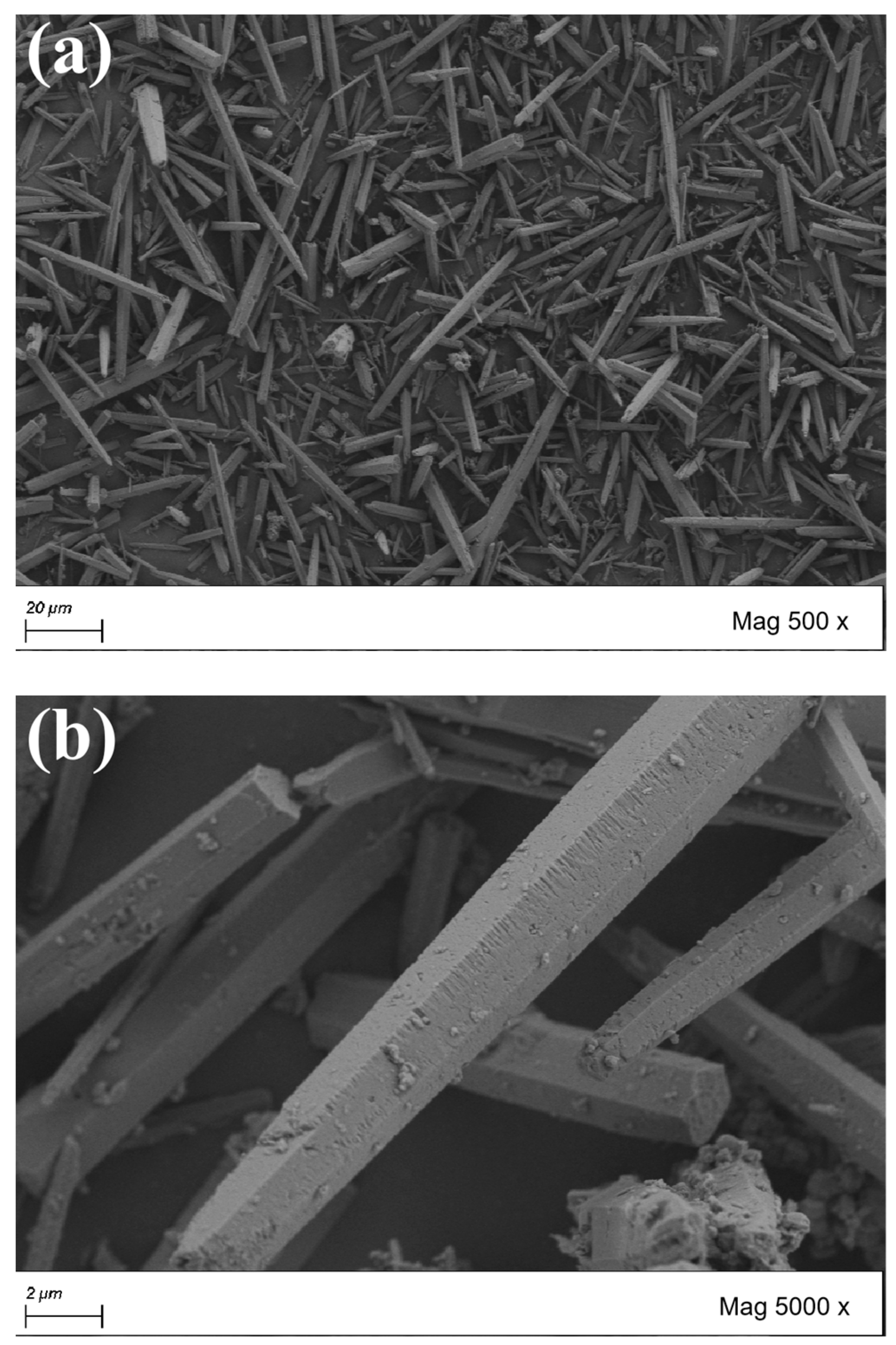Coatings 14 01480 g004a