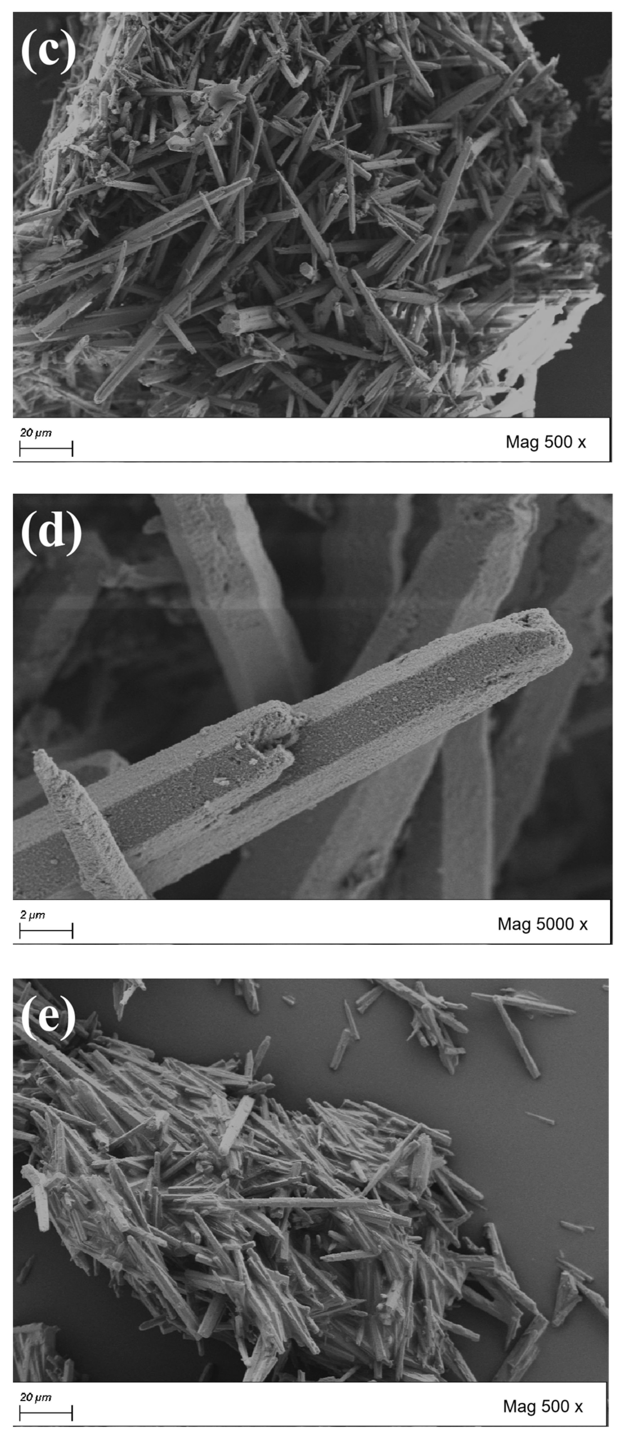 Coatings 14 01480 g004b