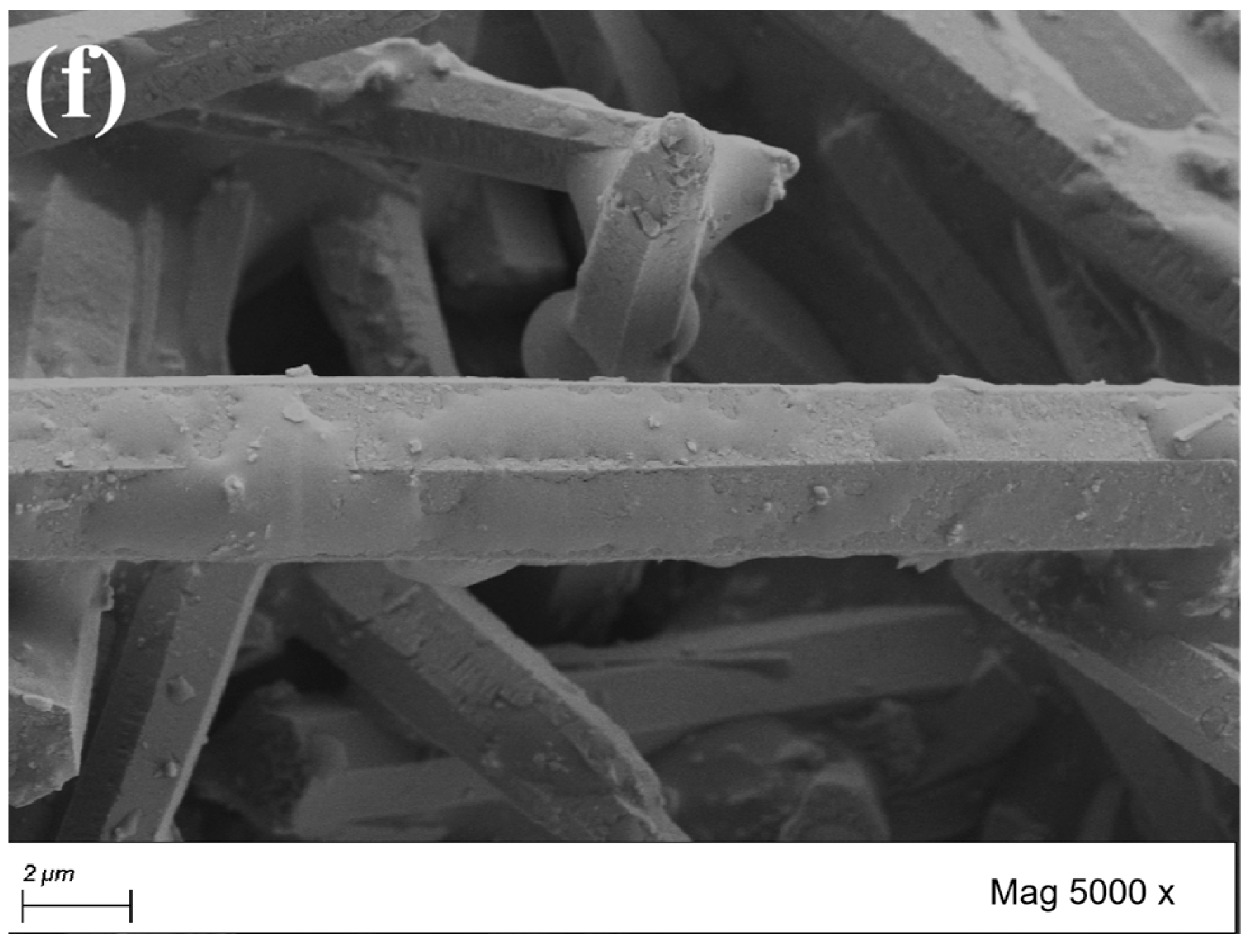 Coatings 14 01480 g004c