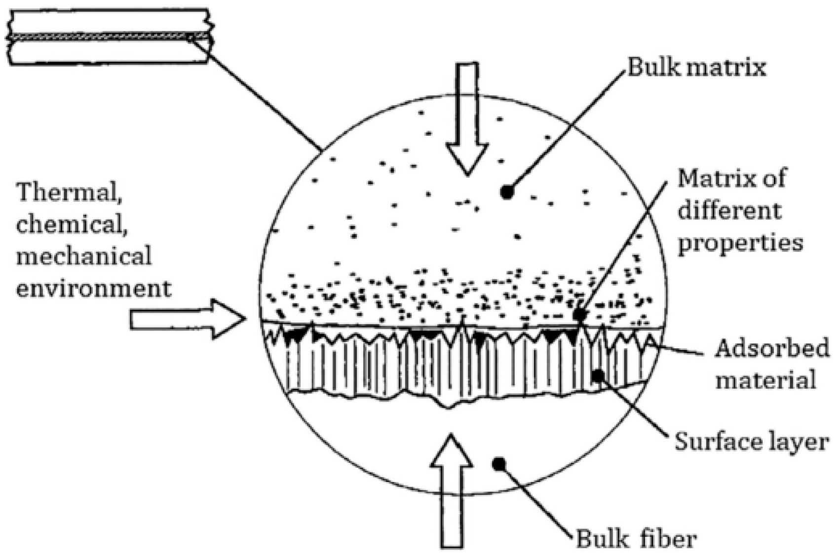 Coatings 14 01480 g007