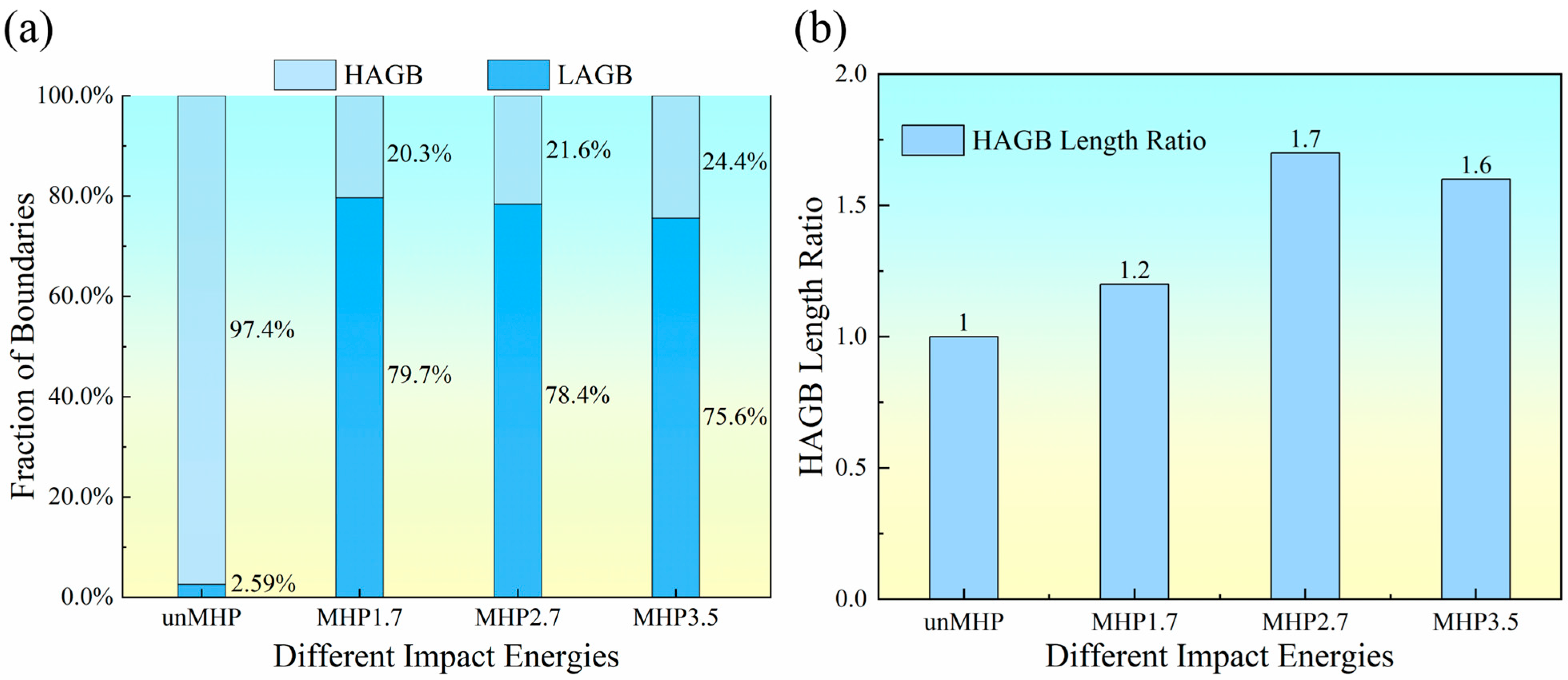 Coatings 14 01481 g008