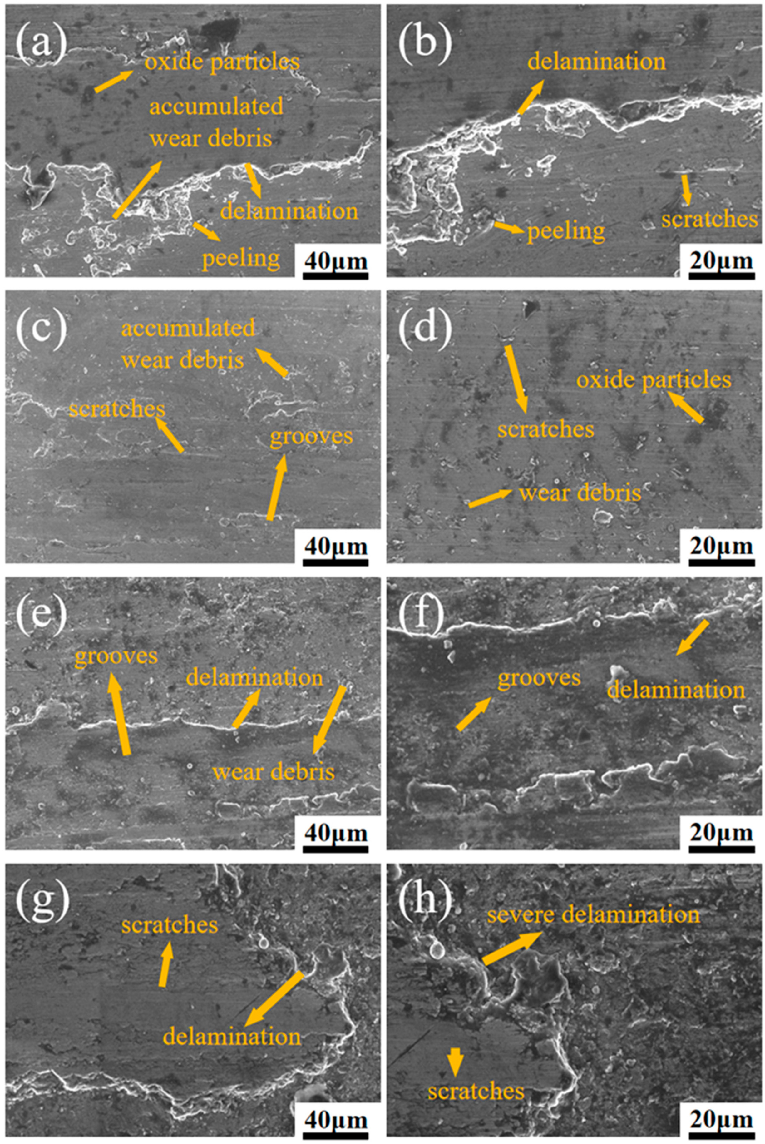 Coatings 14 01481 g014