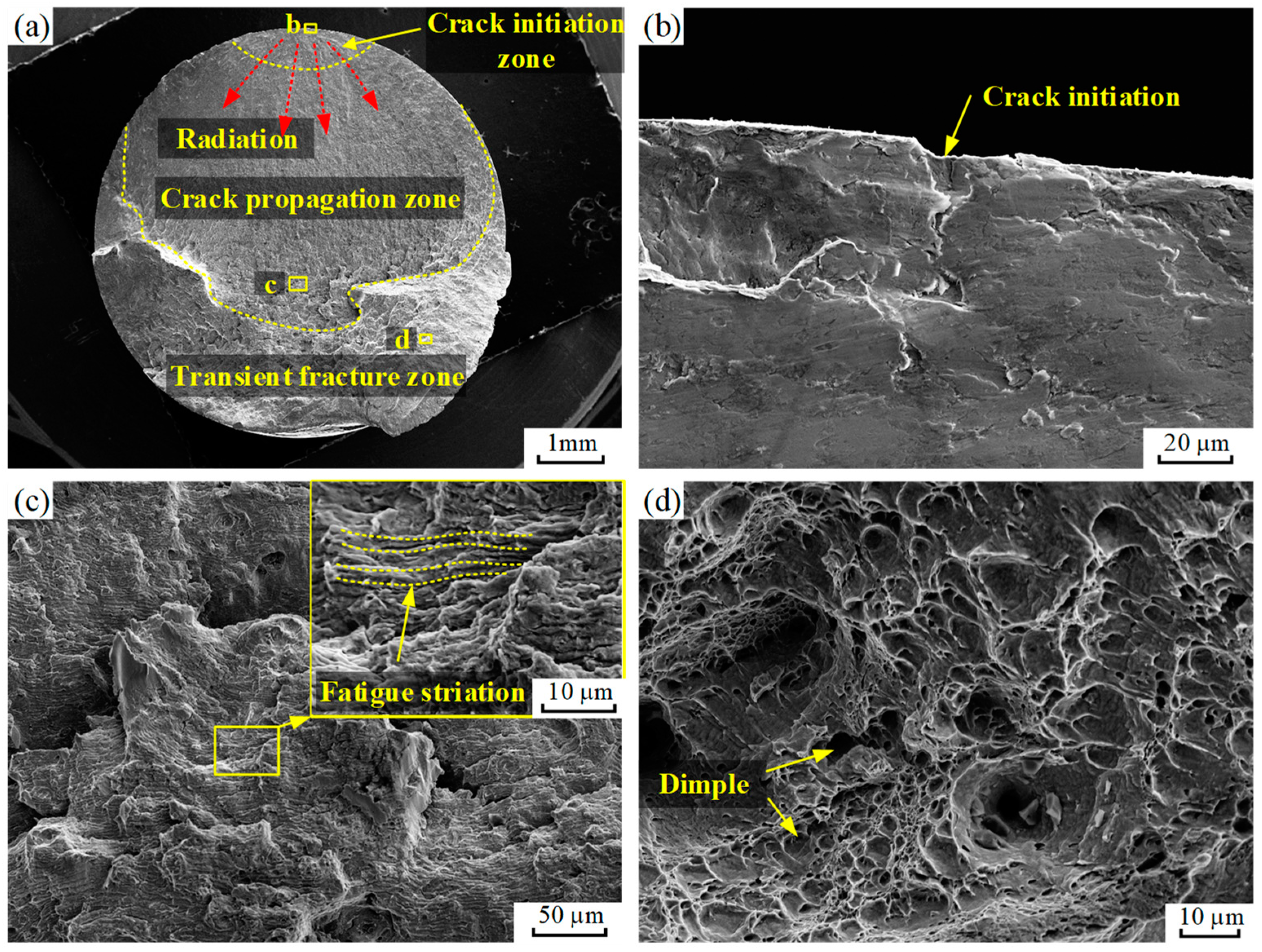 Coatings 14 01484 g009